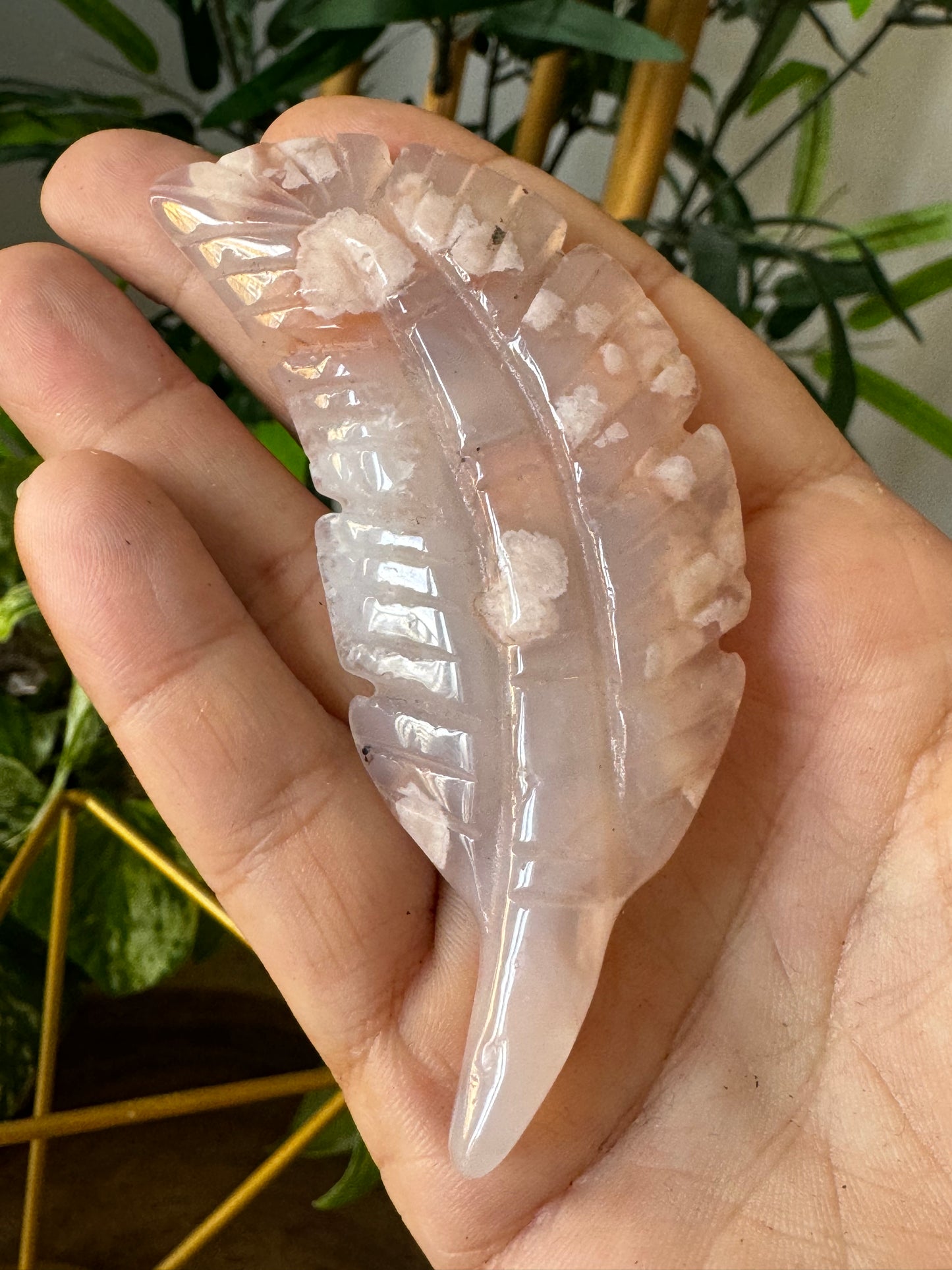 Flower Agate Feather |  37g