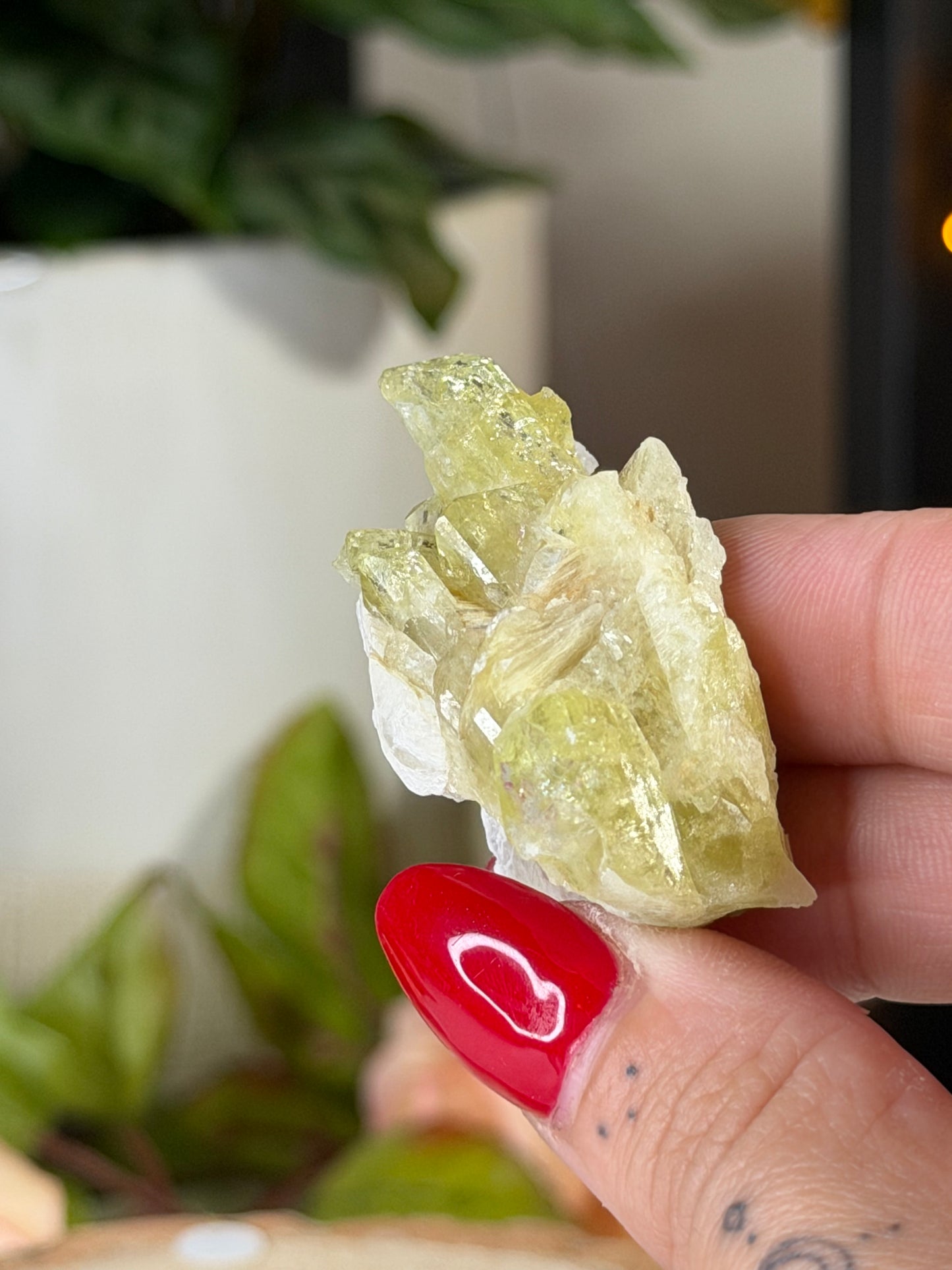 Collectors Item - Mini Brazilianite | 18g