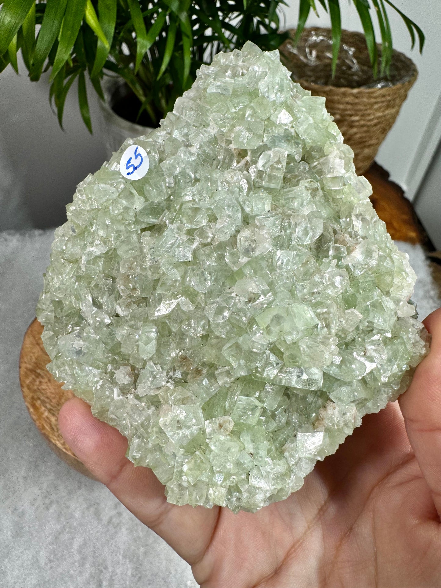 Green Apophyllite Cluster | 398g