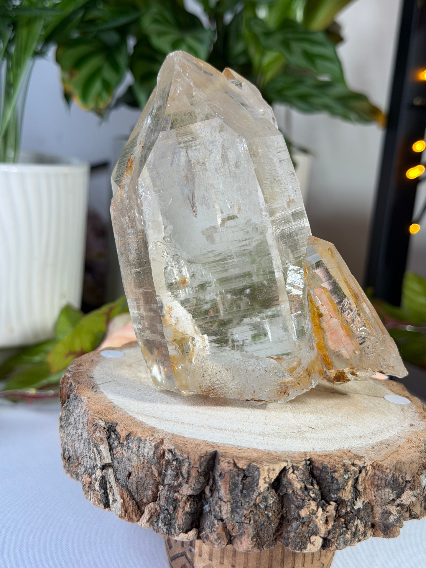 High Quality Natural Brazilian Champagne Cathedral Citrine  | 579g