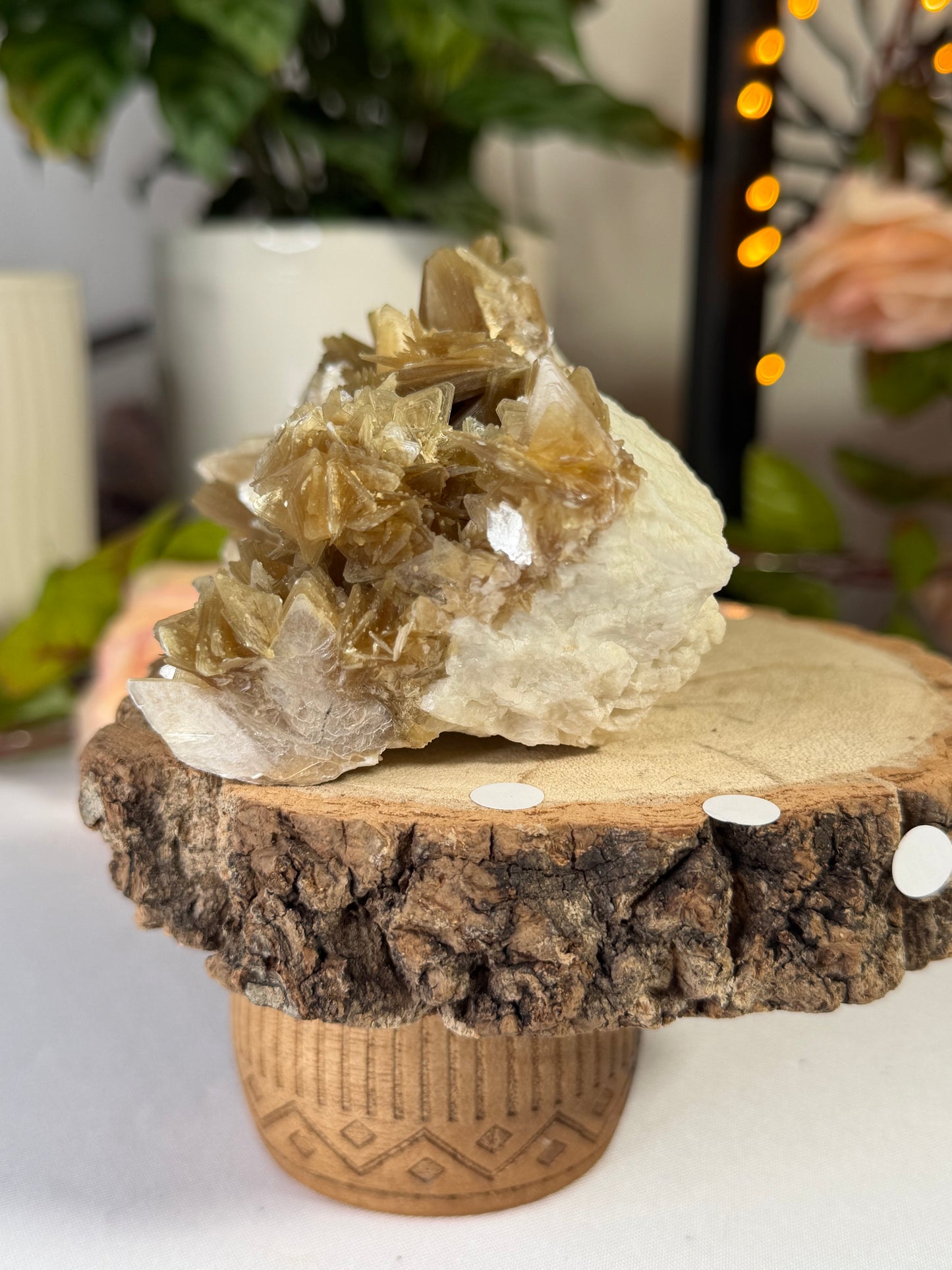 Gorgeous Star Mica from Brazil  | 318g