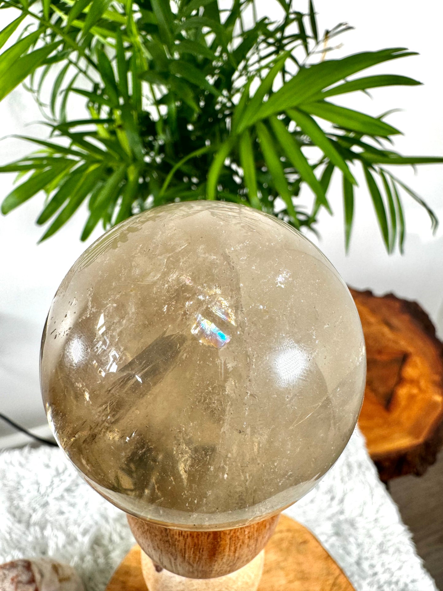 100% Natural Brazilian Champagne Citrine Sphere | 297g