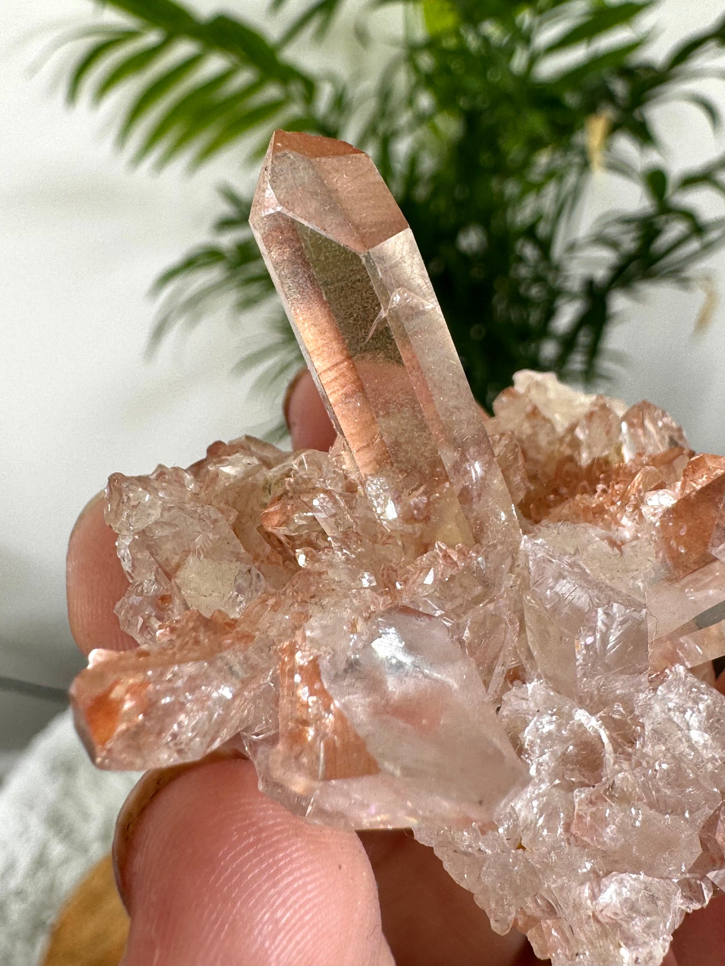 Tangerine Quartz Cluster | 32g