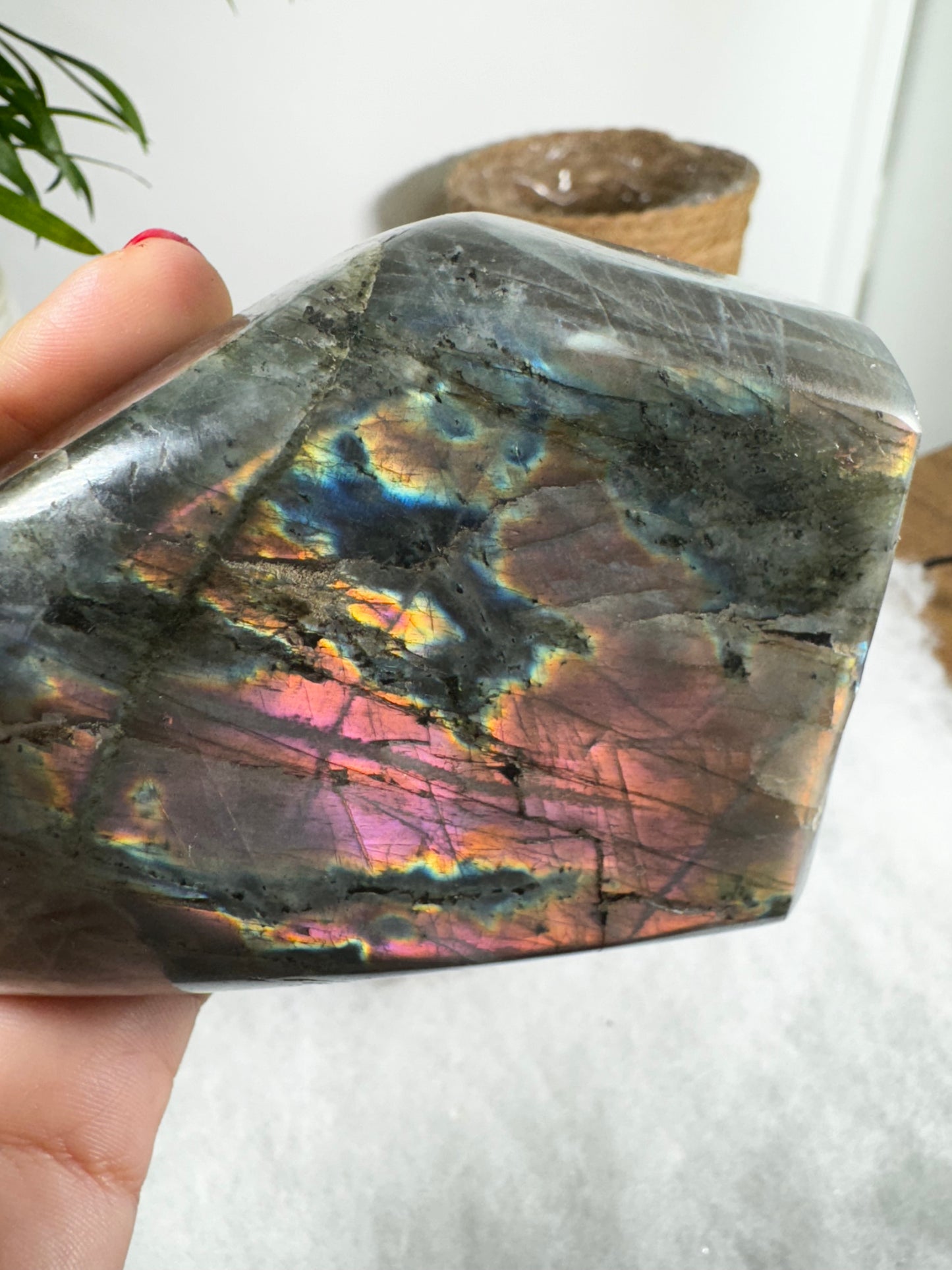 Labradorite Free Form | 444g