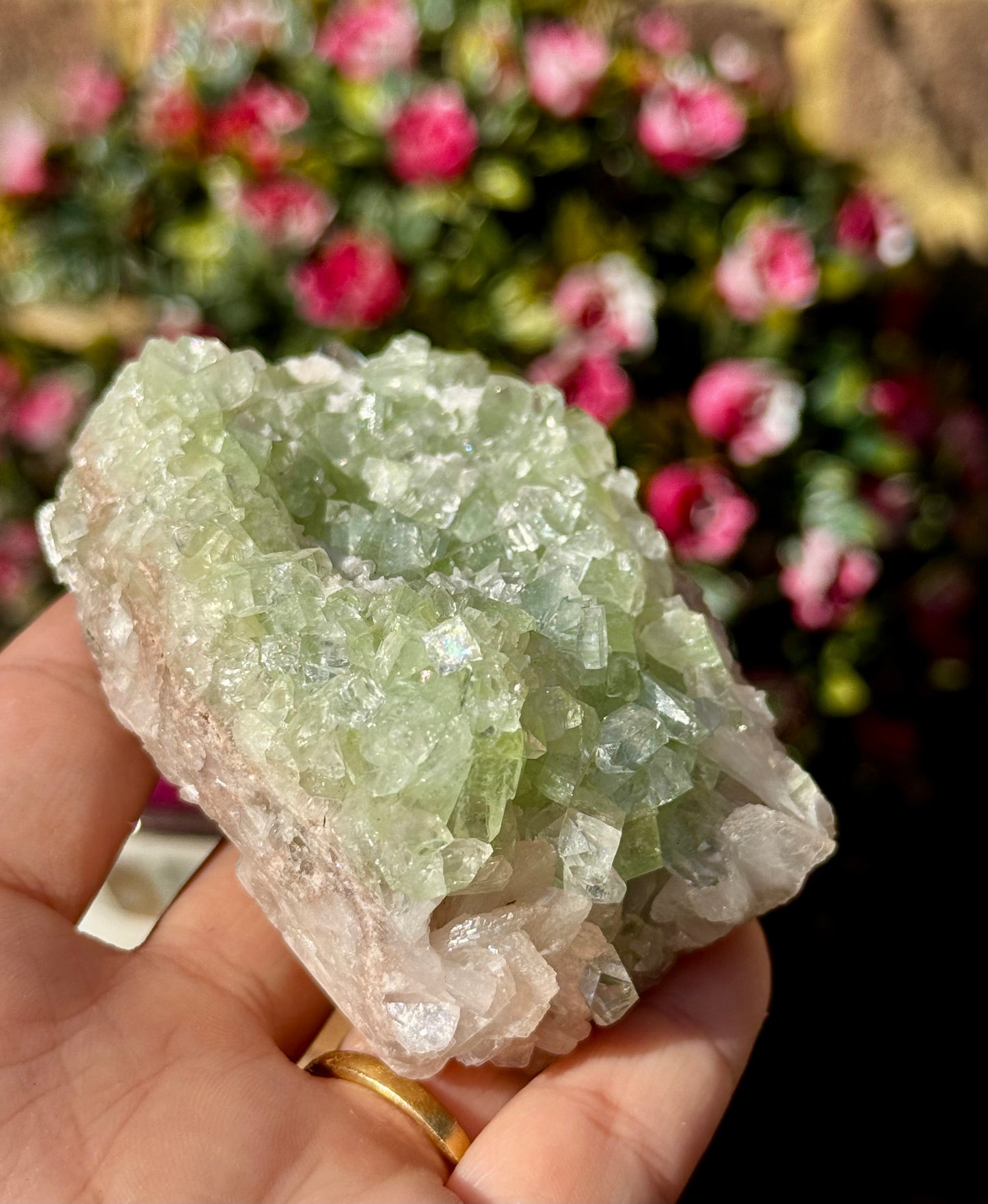 Green Apophyllite Cluster | 155g