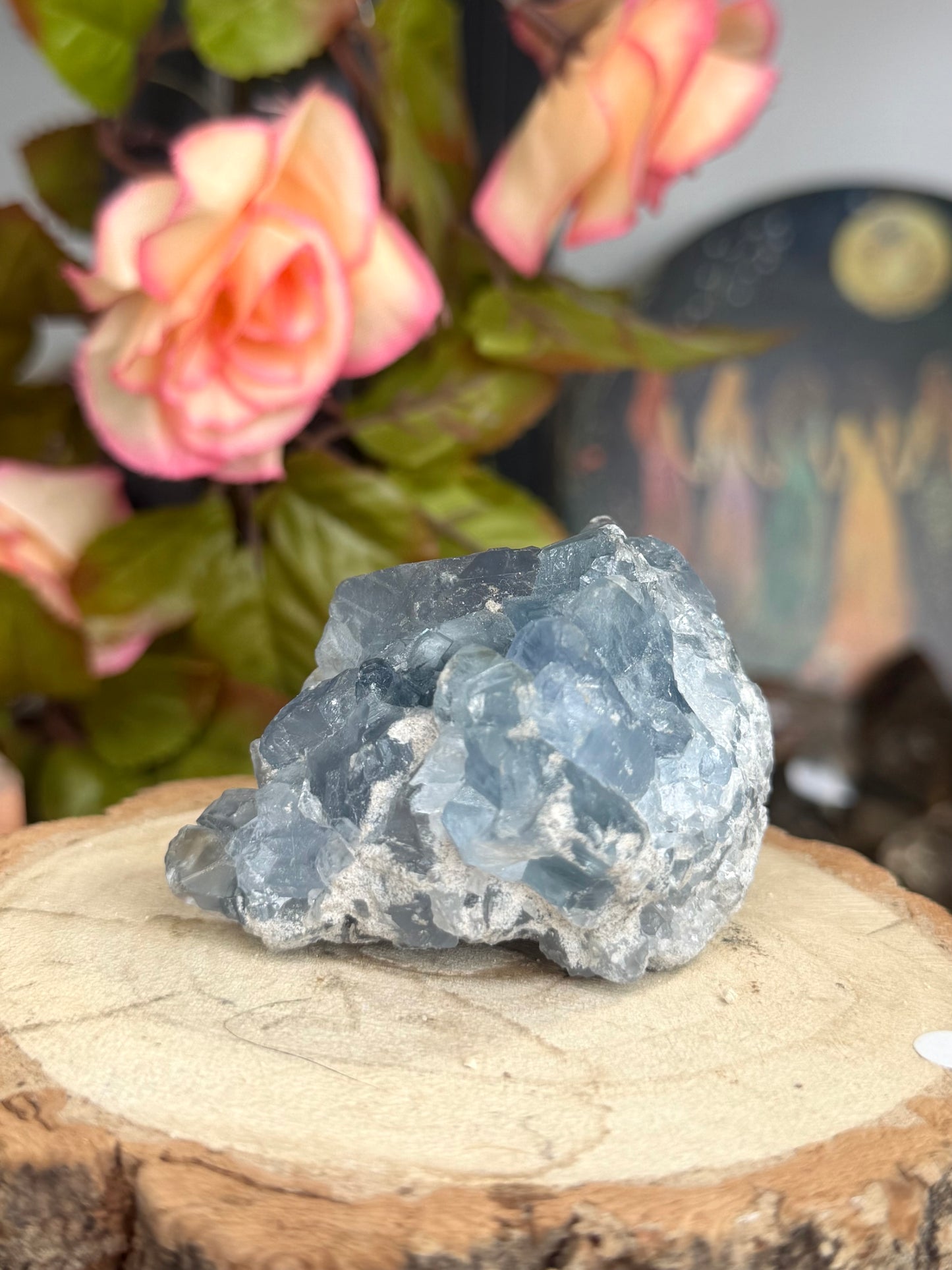 Celestite Cluster | 189g
