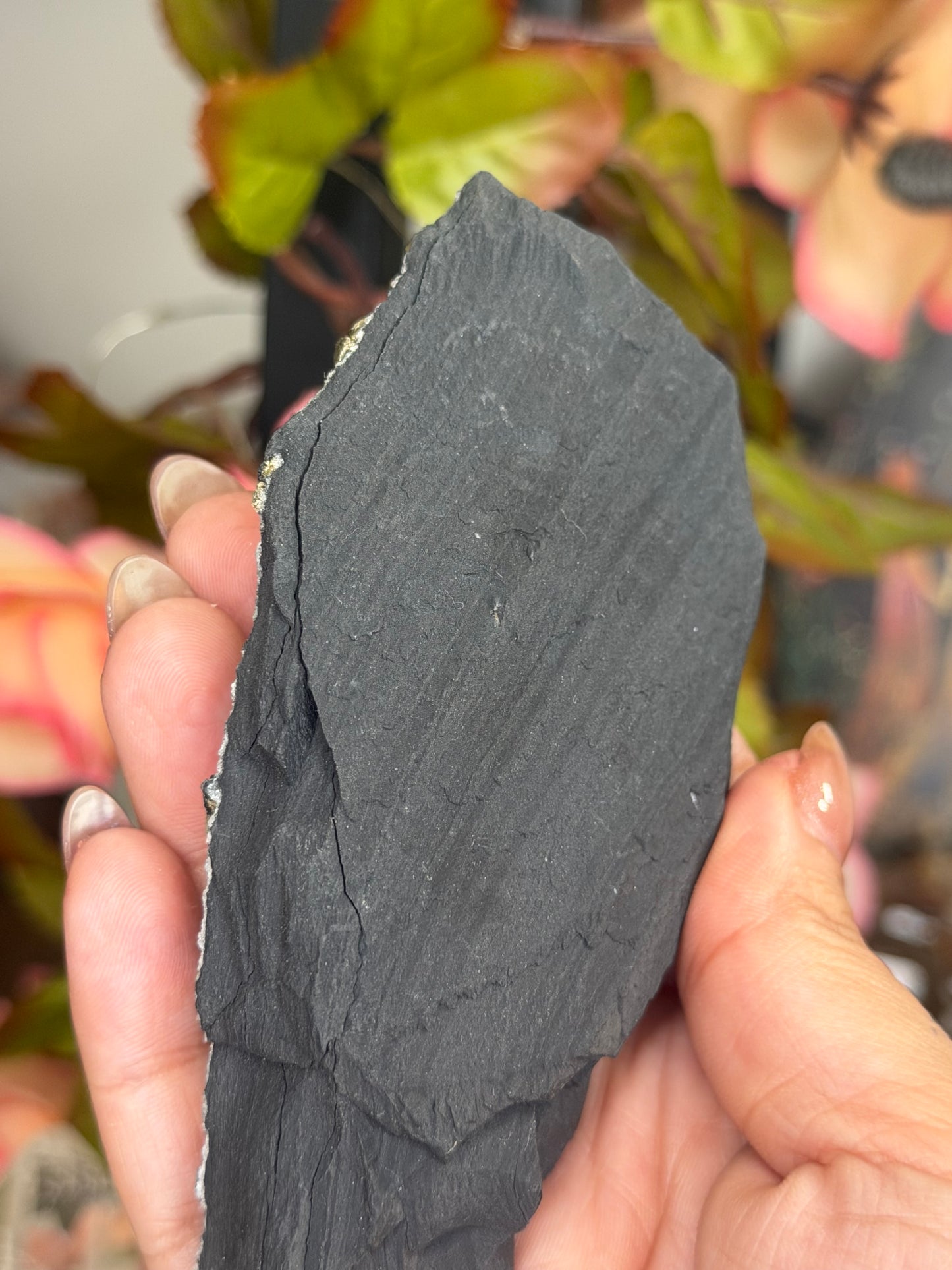 Pyrite Specimen on Basalt Base with Stand | (200g)