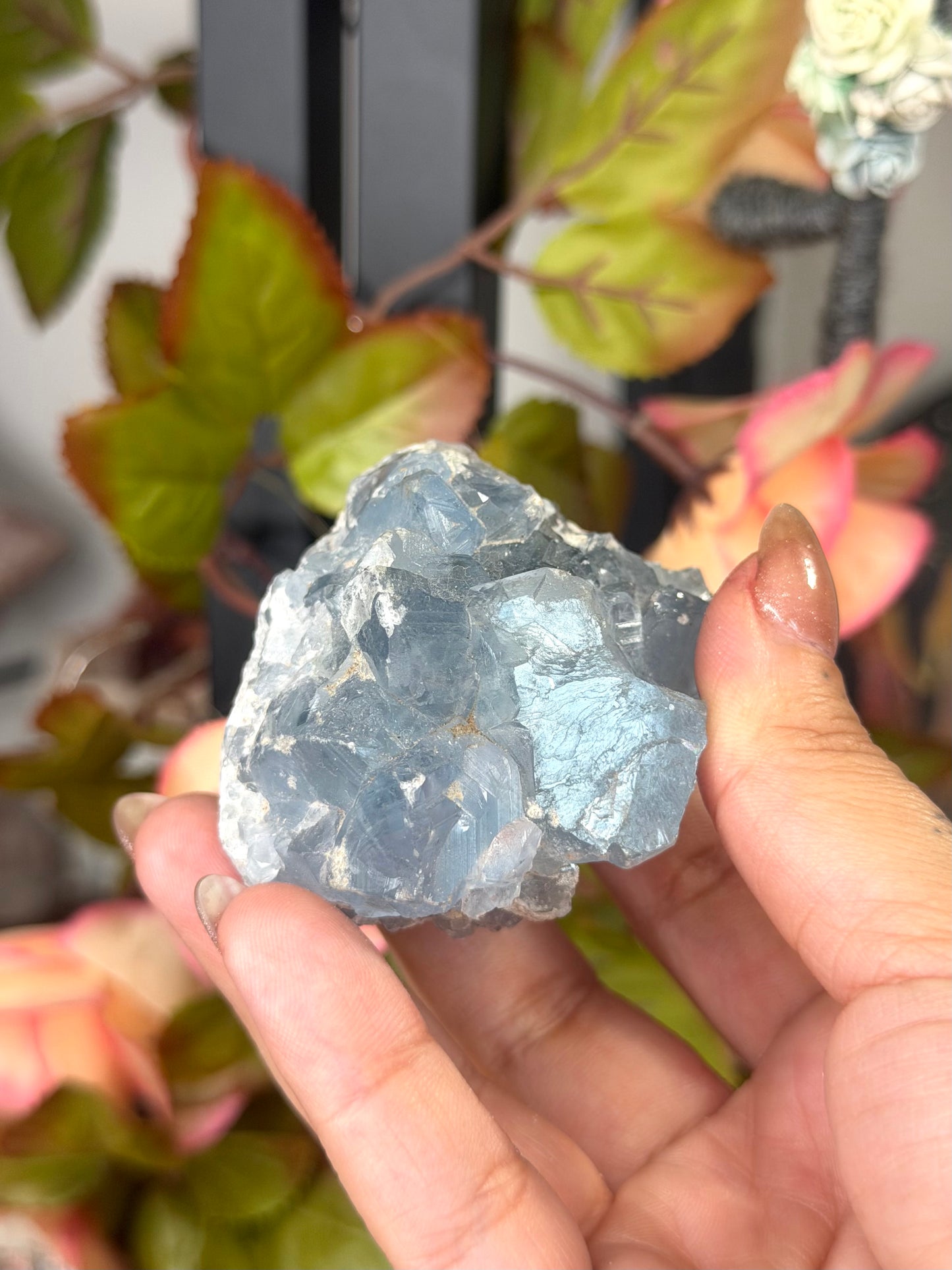 Celestite Cluster | 189g