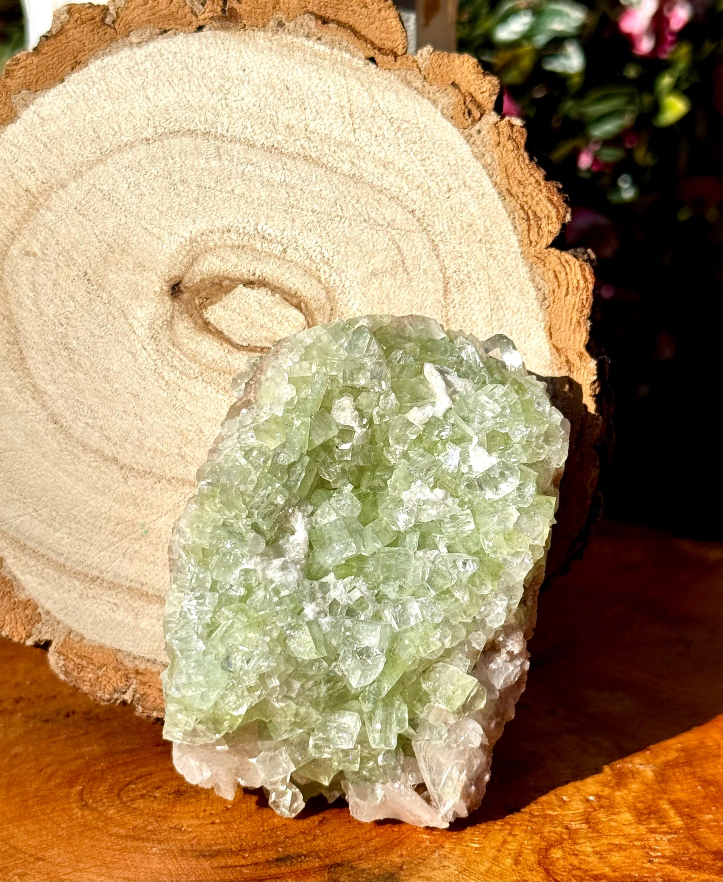 Green Apophyllite Cluster | 155g