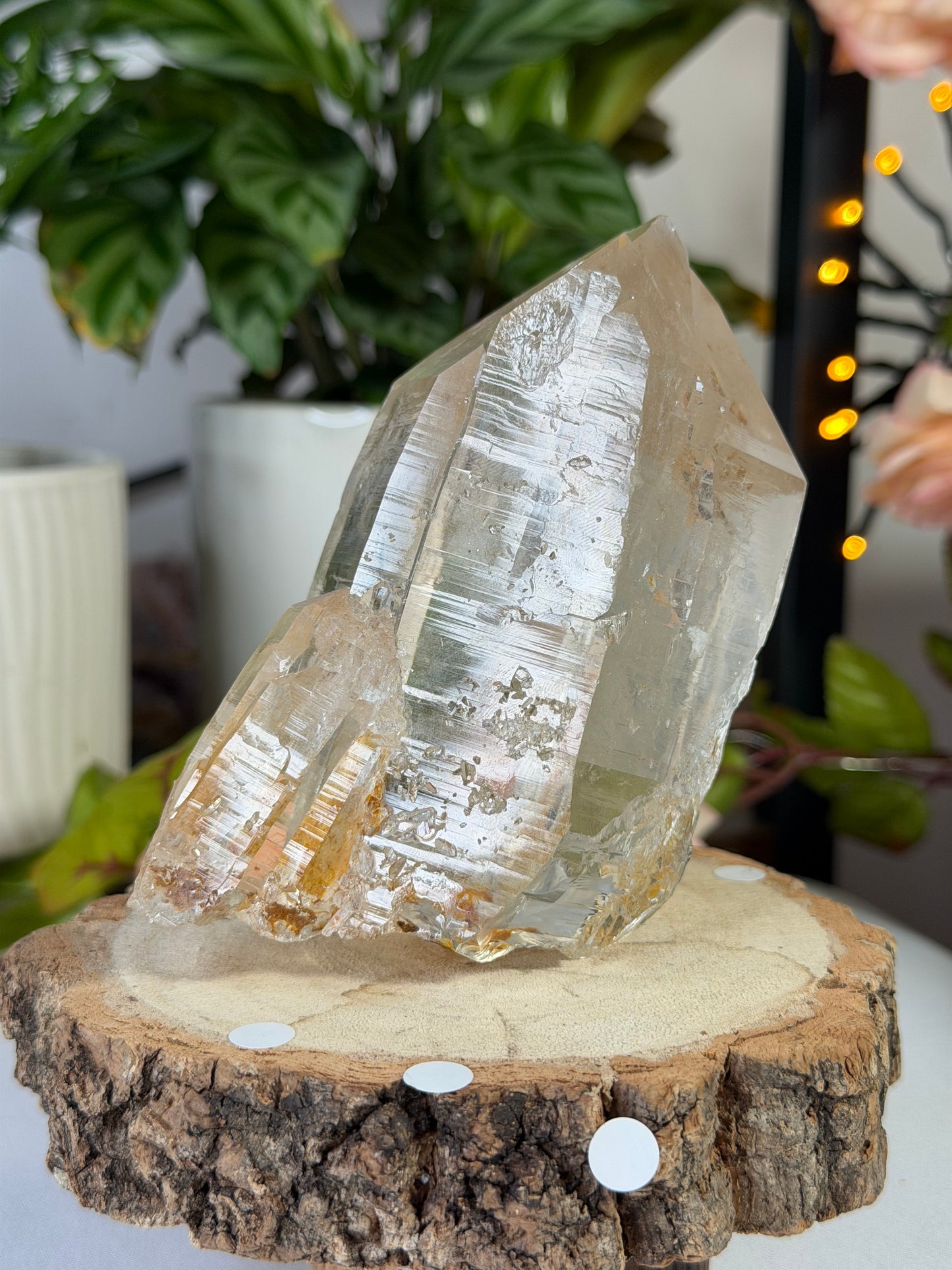 High Quality Natural Brazilian Champagne Cathedral Citrine  | 579g
