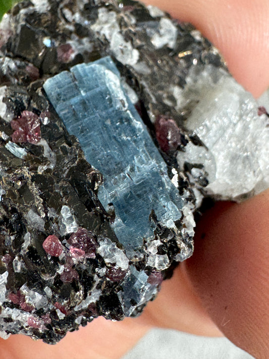 Unusual Kyanite & Garnet Specimen on Gneiss Biotite | 13g