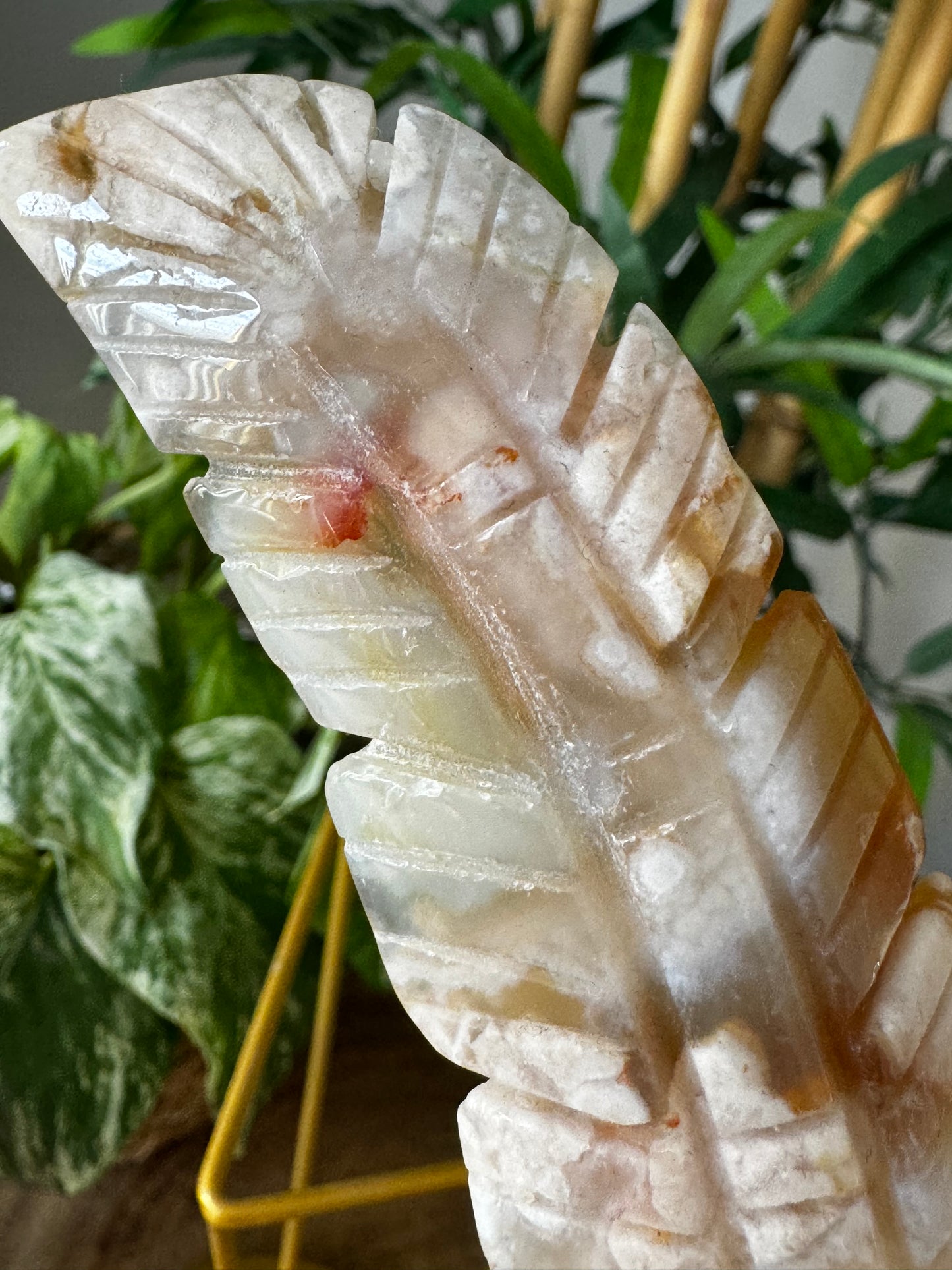 Flower Agate Feather | 49g