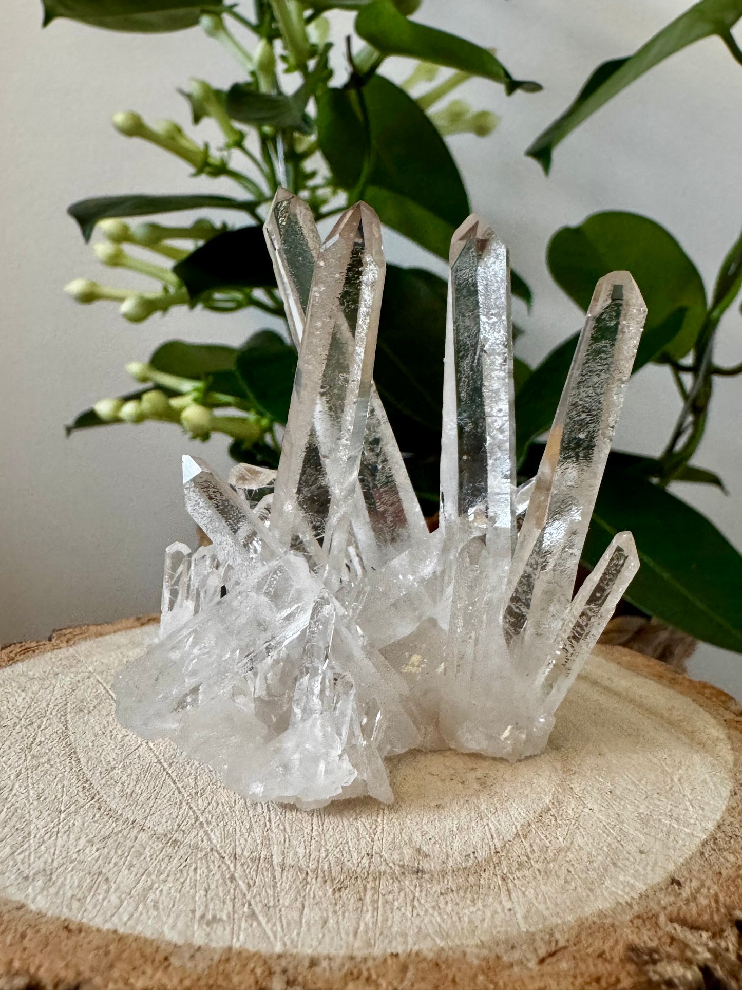 AAA Unique Clear Quartz Cluster | 77g