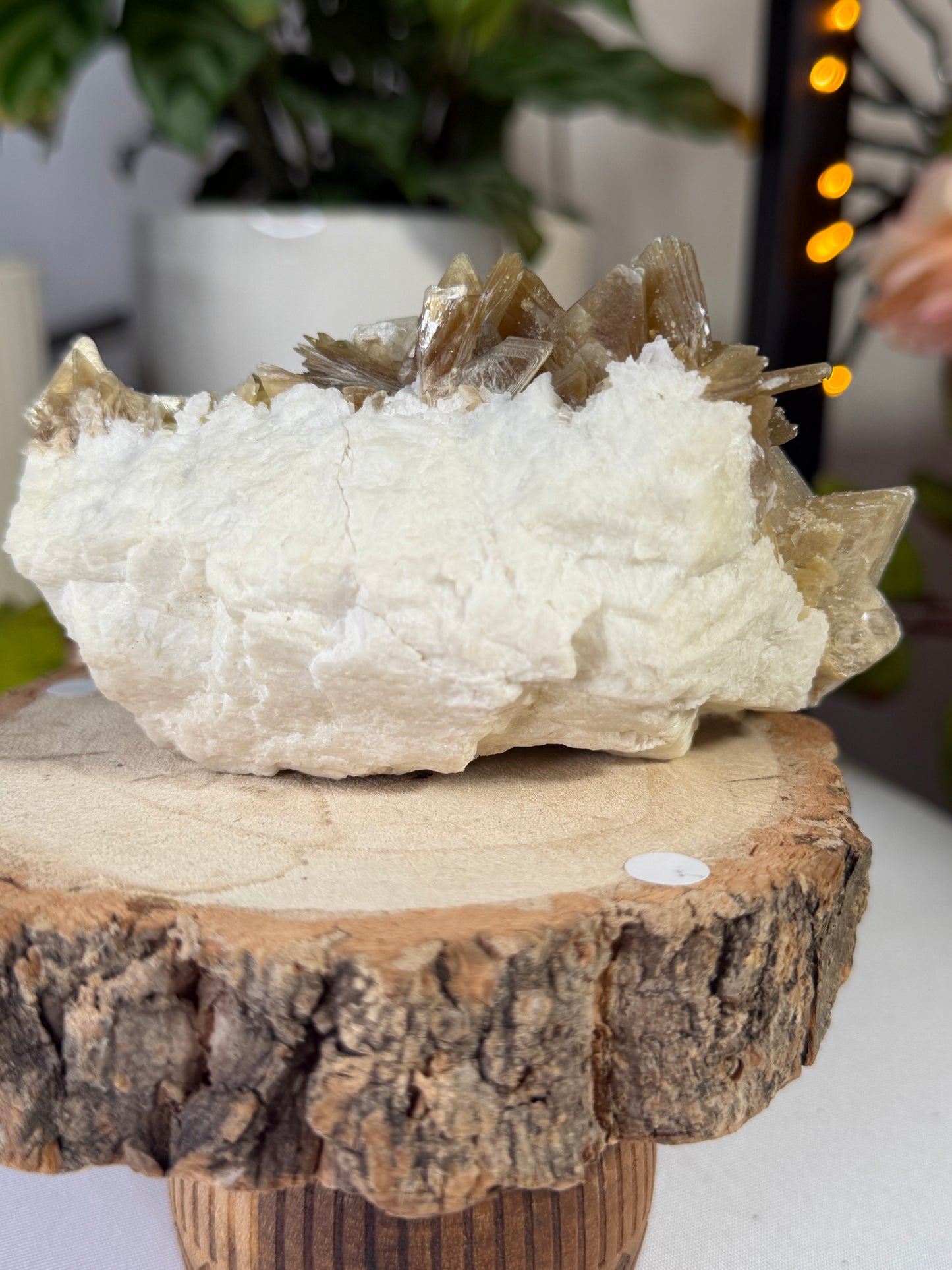 Gorgeous Star Mica from Brazil  | 318g