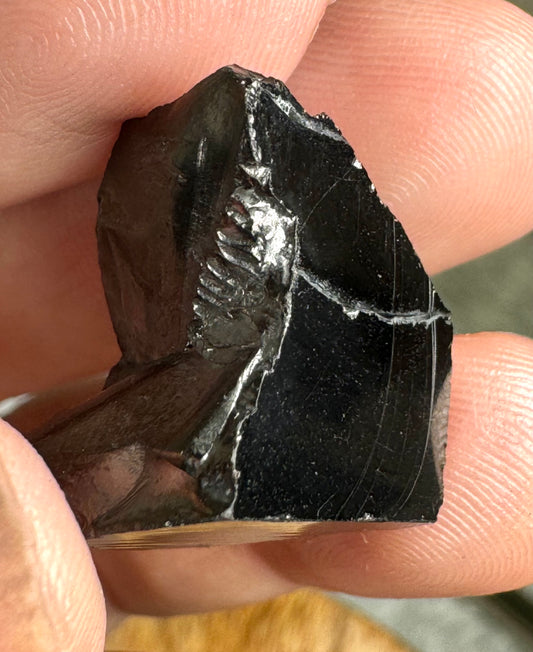 A Quality Tiny Elite Shungite | 1.8 cm