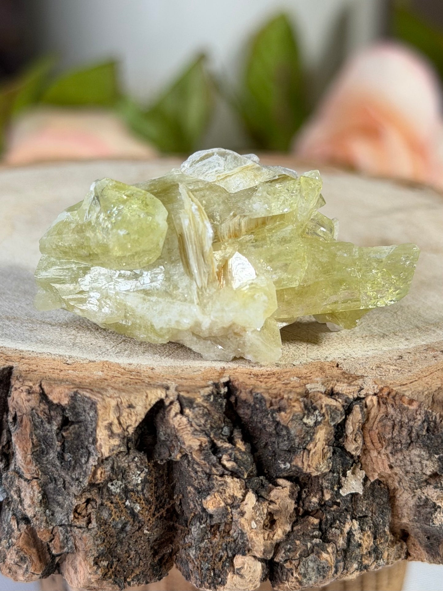 Collectors Item - Mini Brazilianite | 18g