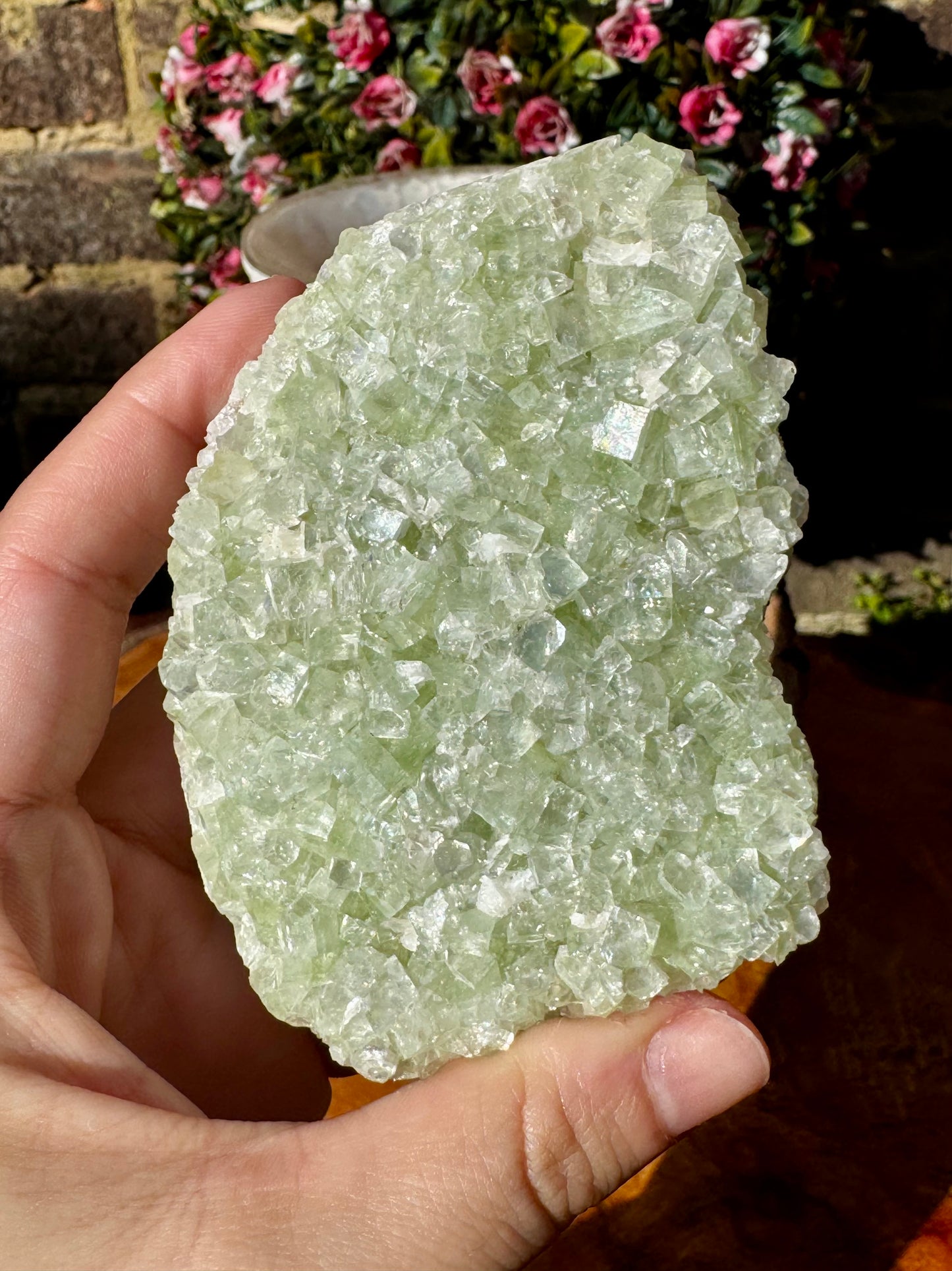 Green Apophyllite Cluster | 202g