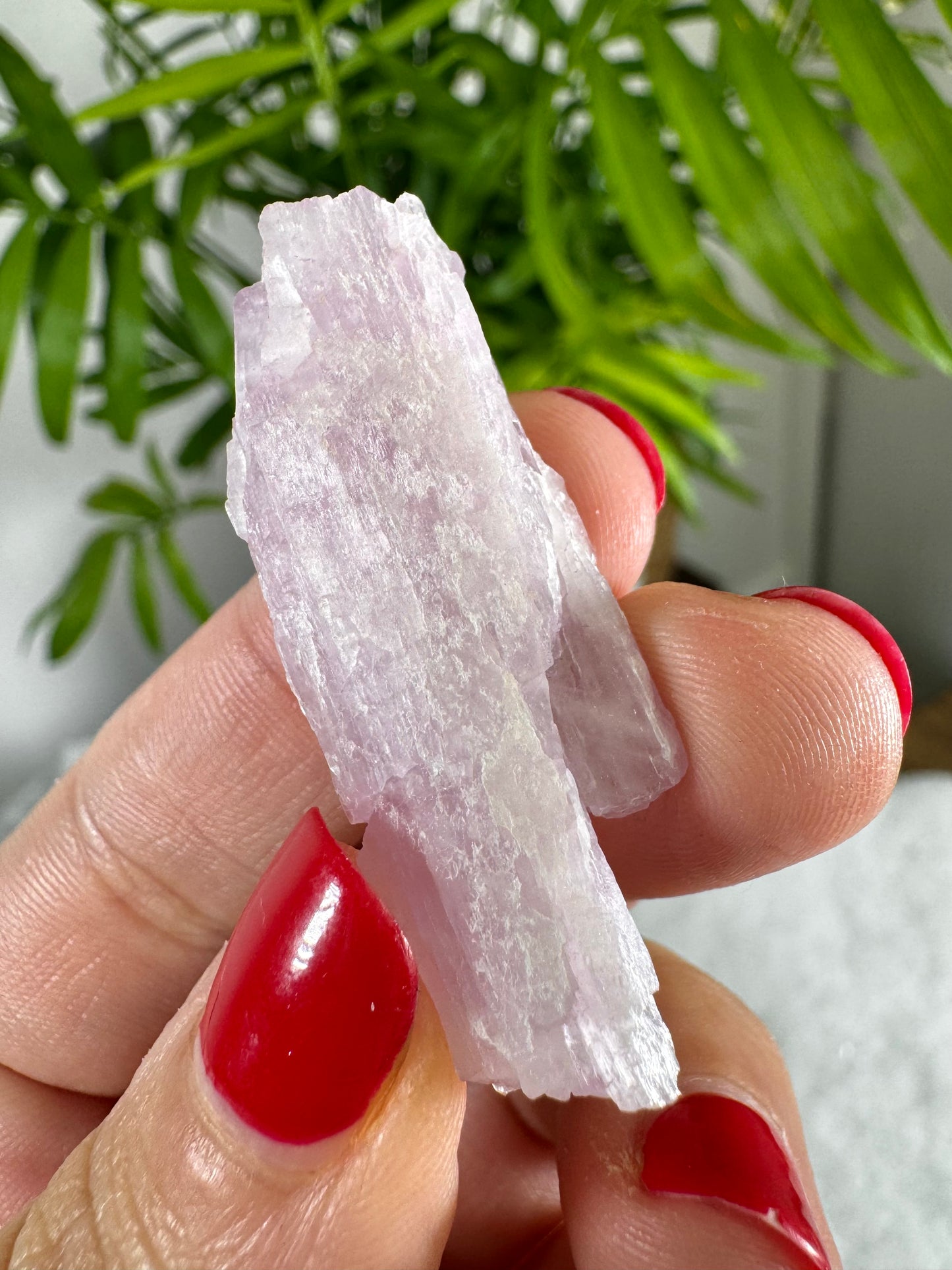 Natural Kunzite Specimen | 10g