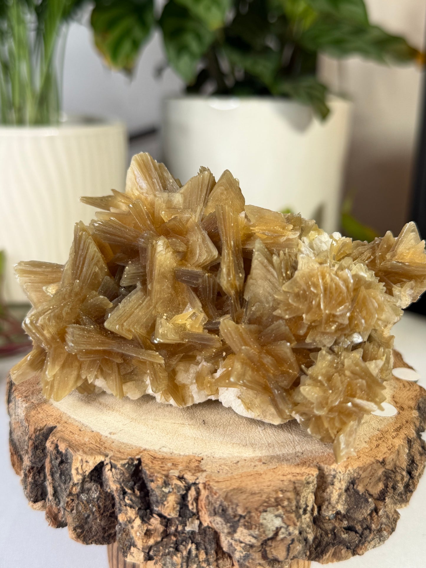 Gorgeous Star Mica from Brazil  | 318g