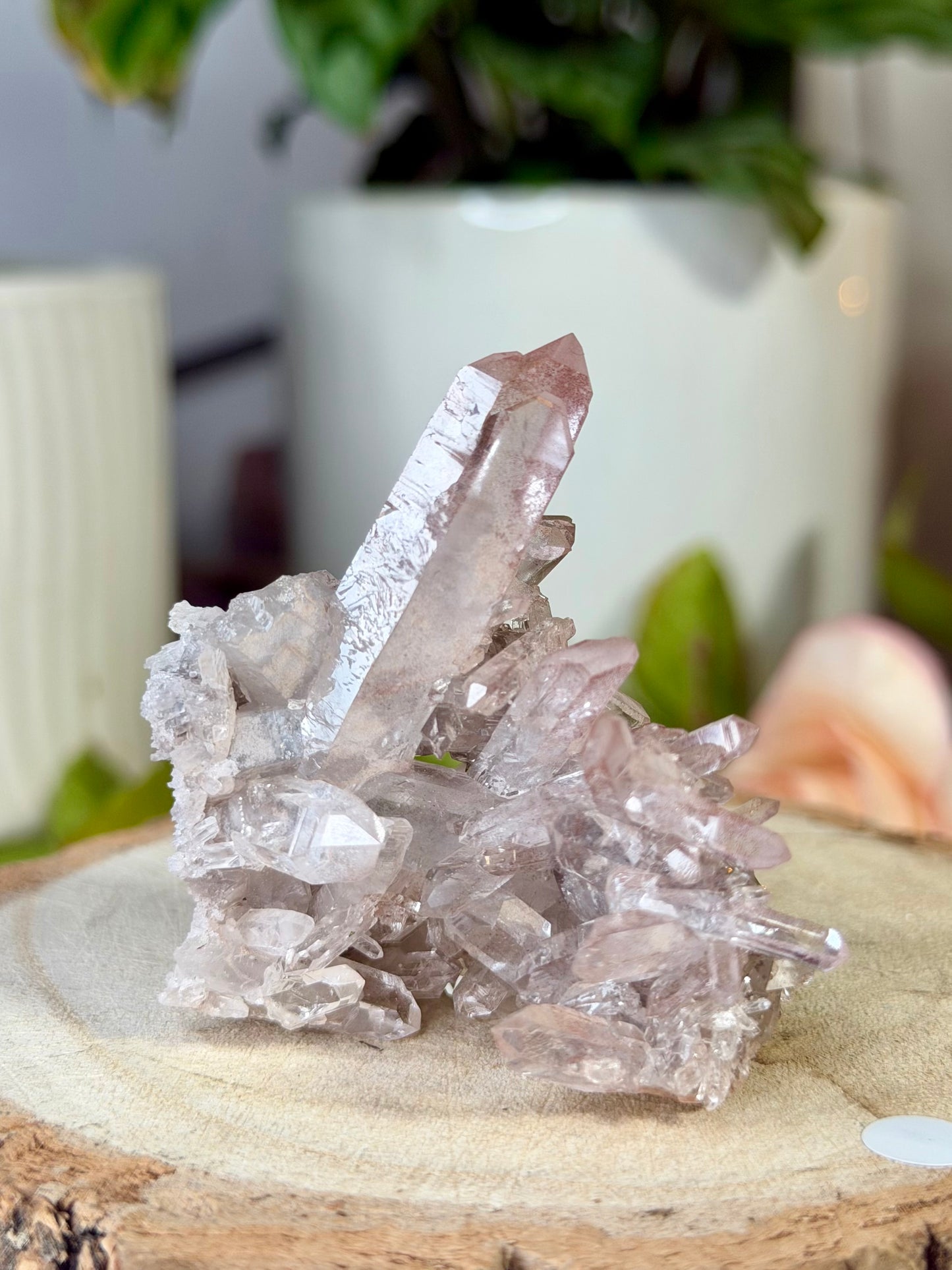 Mini 'Pink Lithium' Cluster 4 | 54g