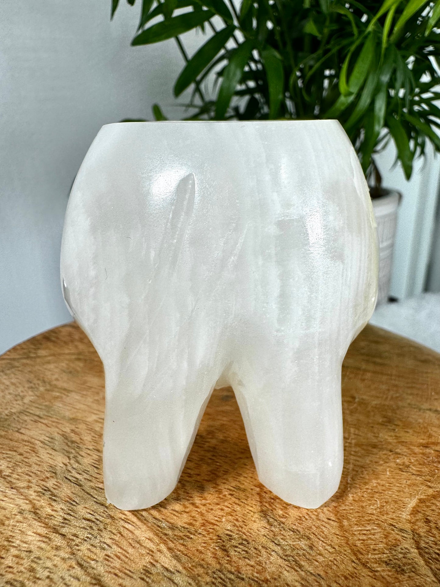 Onyx Elephant Candle Holder |364g