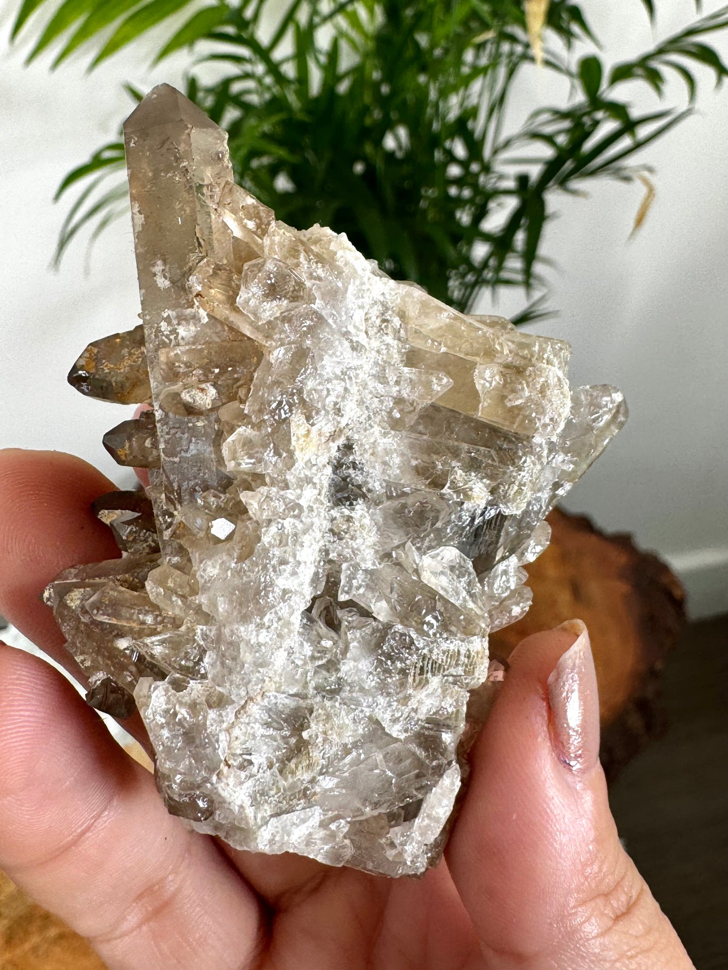 Smokey Quartz Cluster | 84g