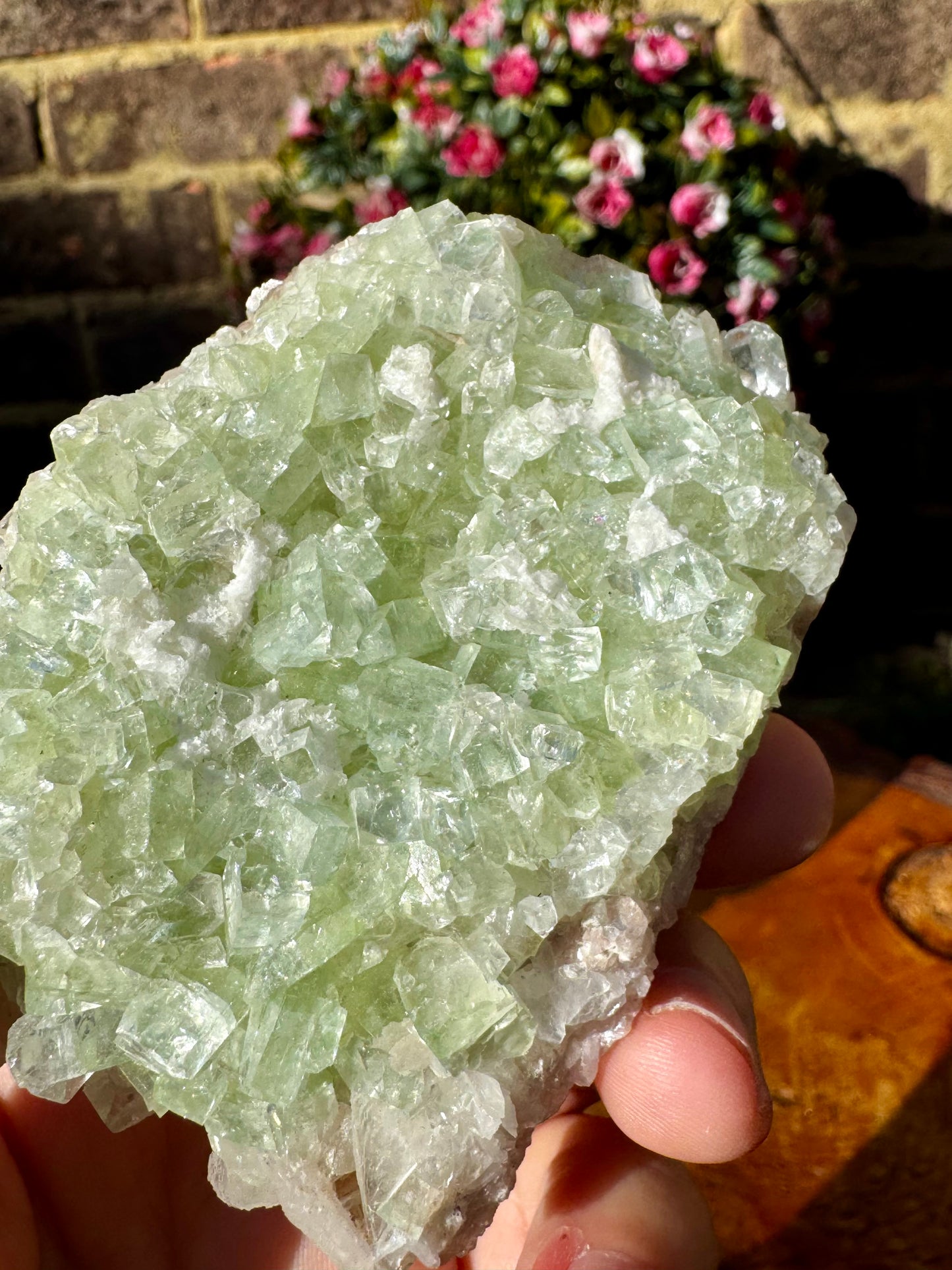 Green Apophyllite Cluster | 155g