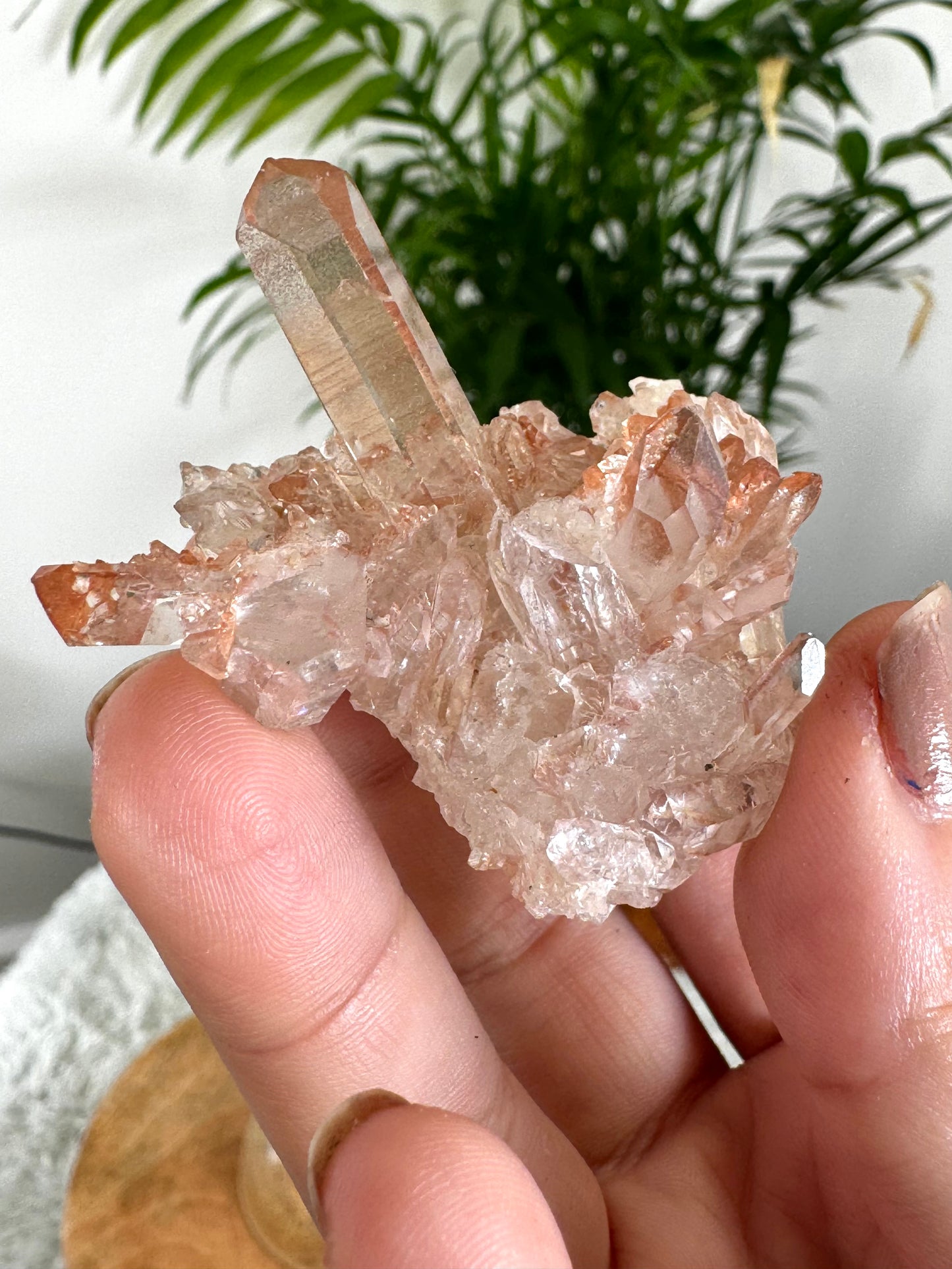 Tangerine Quartz Cluster | 32g