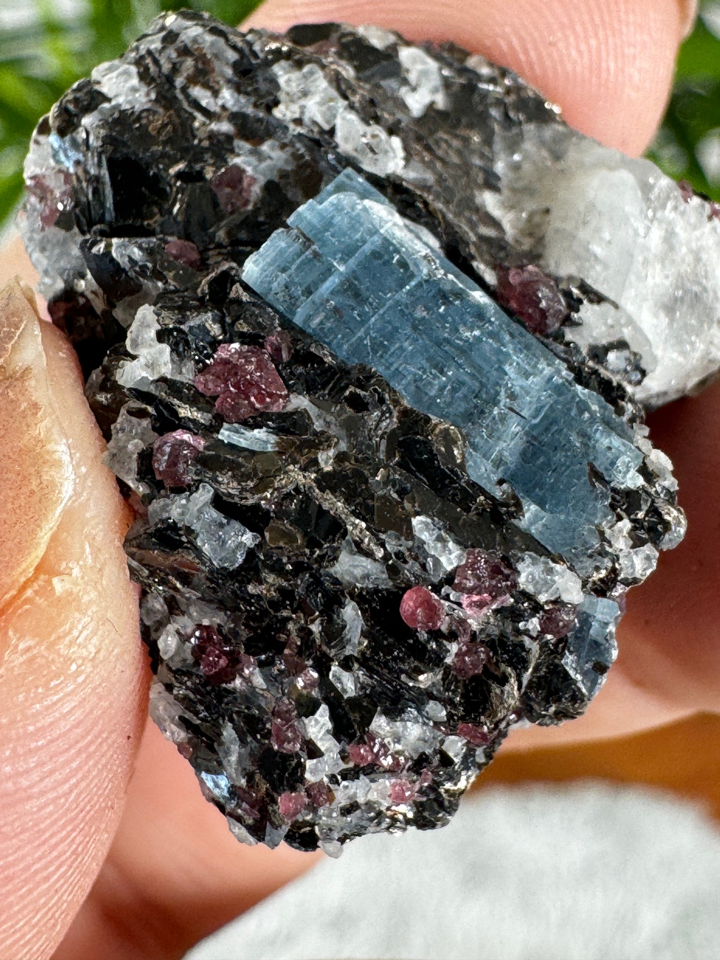 Unusual Kyanite & Garnet Specimen on Gneiss Biotite | 13g