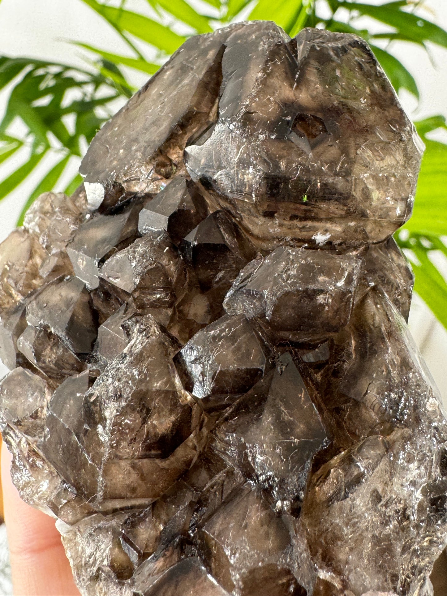 Elestial Smokey Quartz | 353g