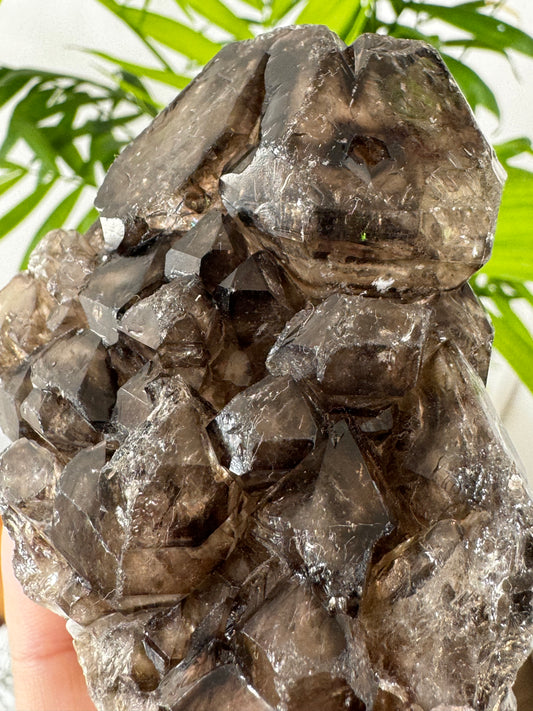 Elestial Smokey Quartz | 353g