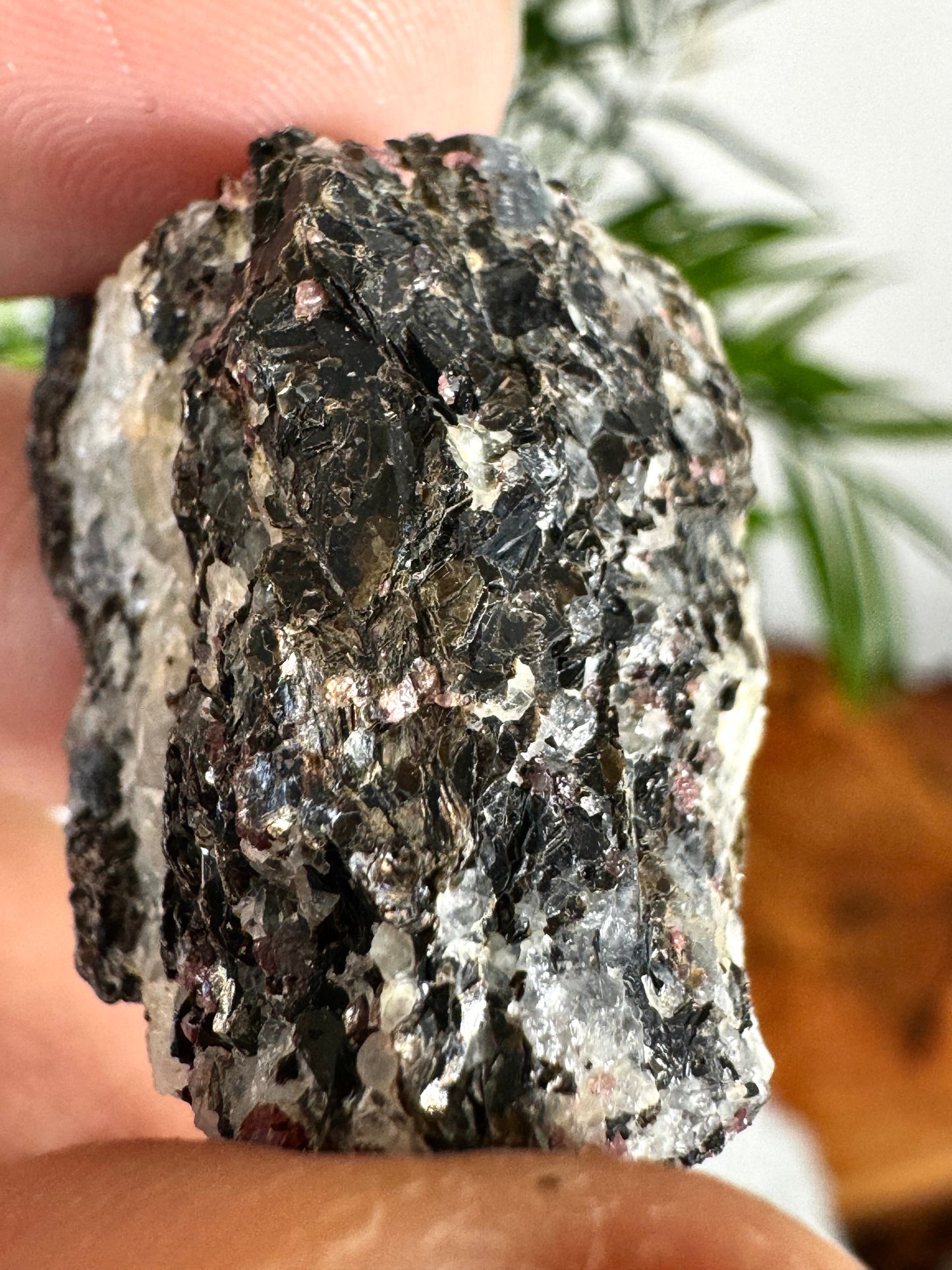 Unusual Kyanite & Garnet Specimen on Gneiss Biotite | 13g