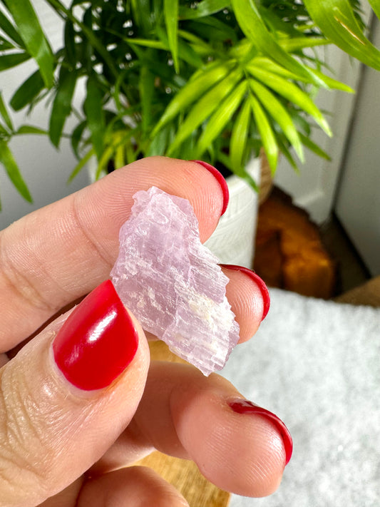 Tiny Natural Kunzite Specimen | 3g