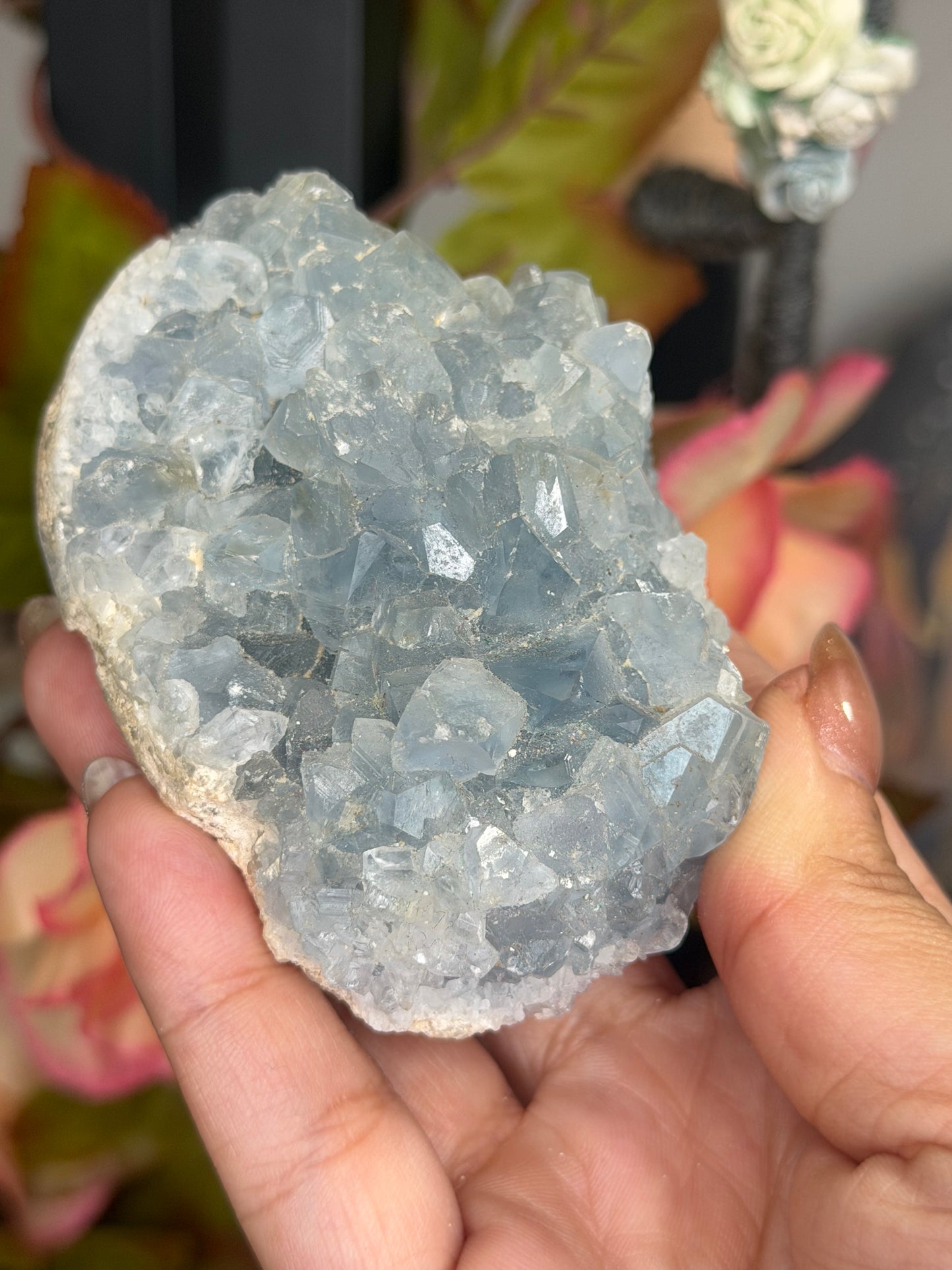 Celestite Cluster | 305g