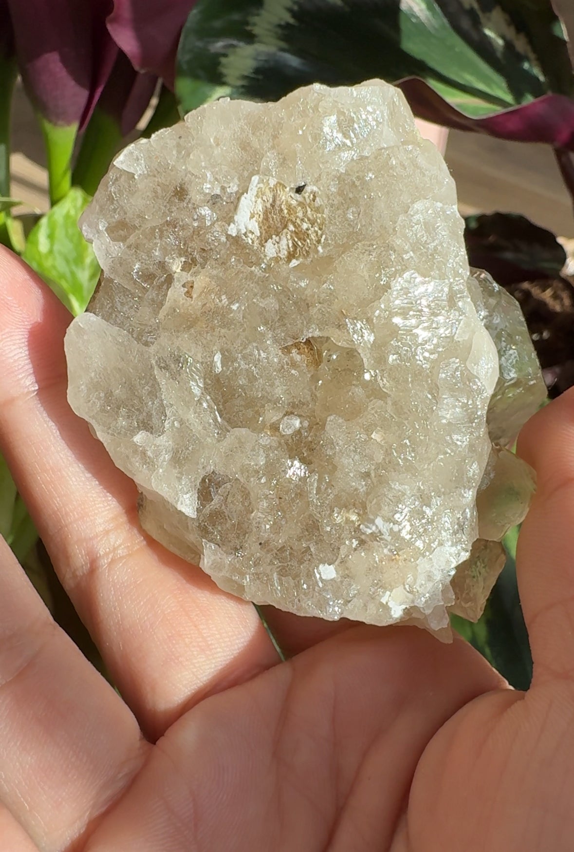Natural Brazilian Champagne Citrine point - from earth to you - not polished - MC9