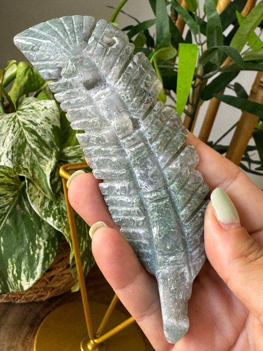 Moss Agate Feather | F4
