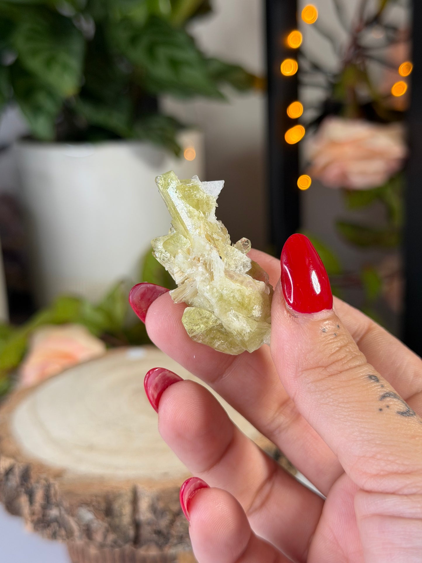 Collectors Item - Mini Brazilianite | 18g