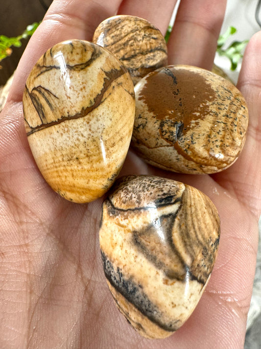 Picture Jasper Tumbles | Medium size - Intuitively Chosen