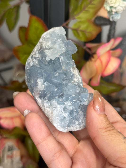 Celestite Cluster | 228g