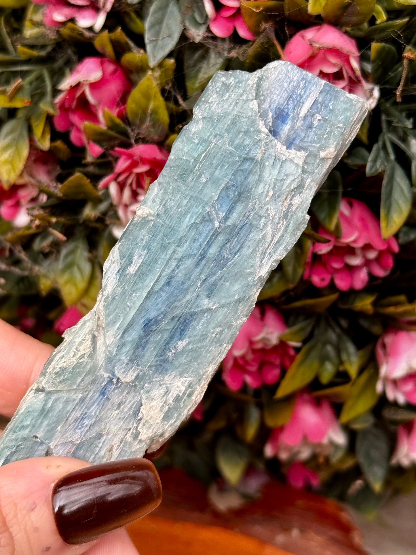 Blue Green Kyanite from Zambia | 56g