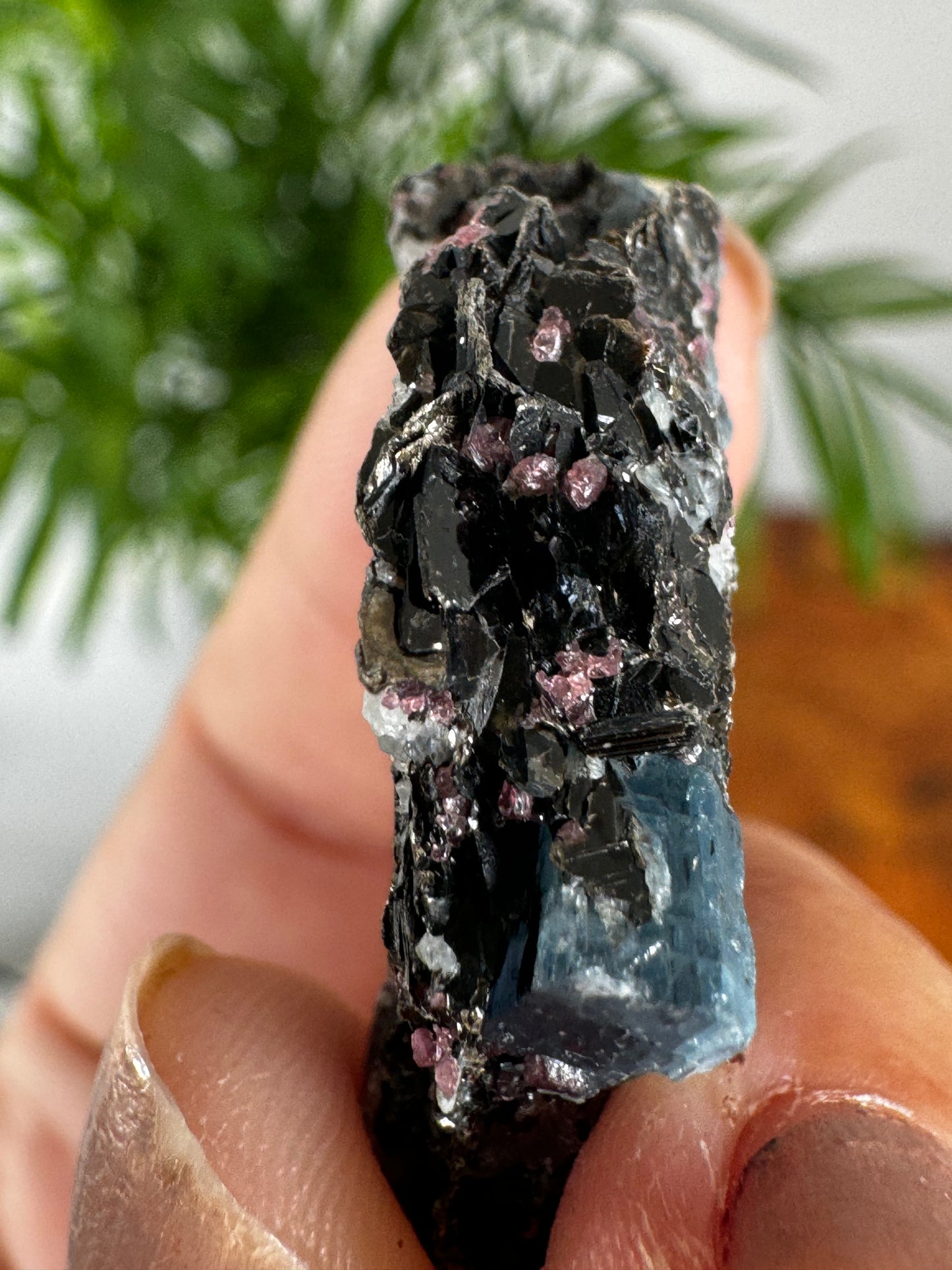 Unusual Kyanite & Garnet Specimen on Gneiss Biotite | 9g