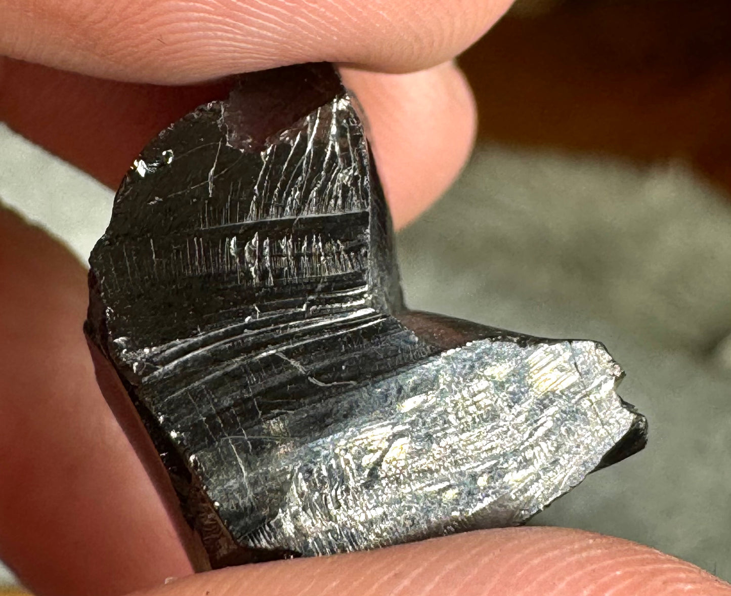 A Quality Tiny Elite Shungite | 1.8 cm