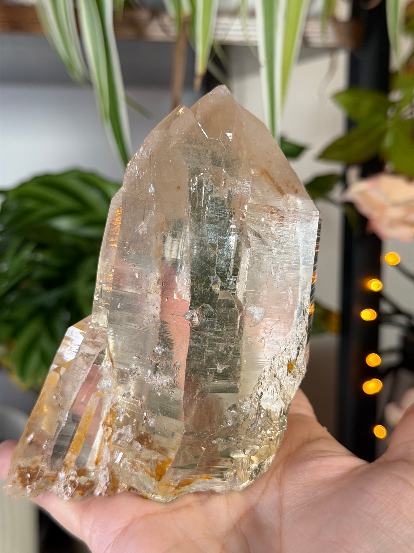 High Quality Natural Brazilian Champagne Cathedral Citrine  | 579g