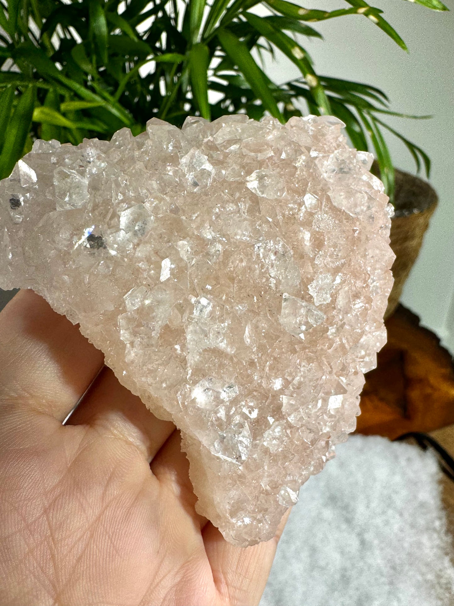 Pink Apophyllite Cluster | 133g