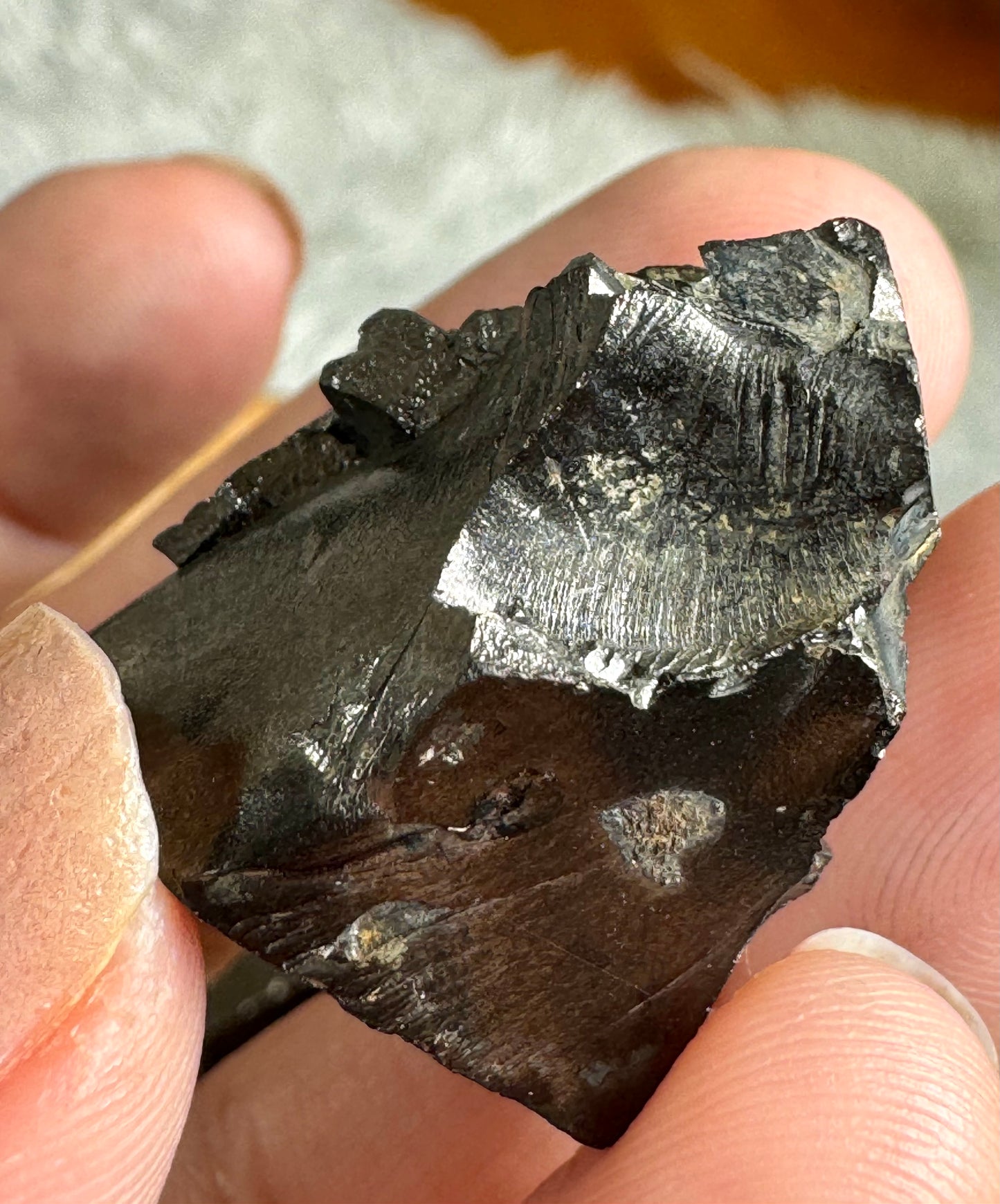 A Quality Small Elite Shungite | 2.4 cm