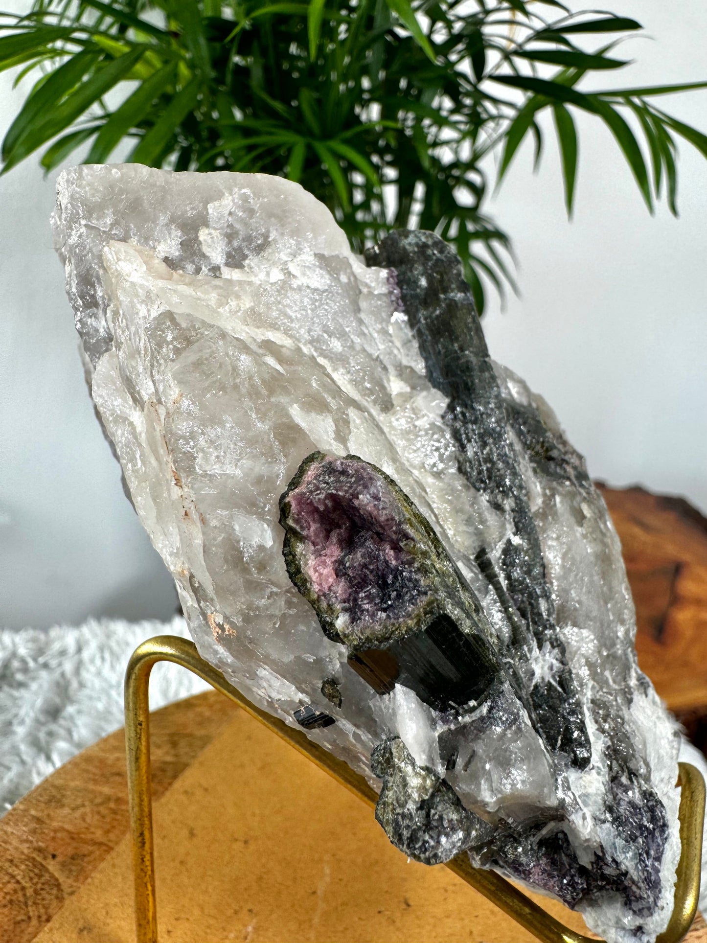 Collector's Item - Natural Green & Pink Tourmaline on Citrine, Smokey & Quartz with Lepidolite & Mica  | 478g