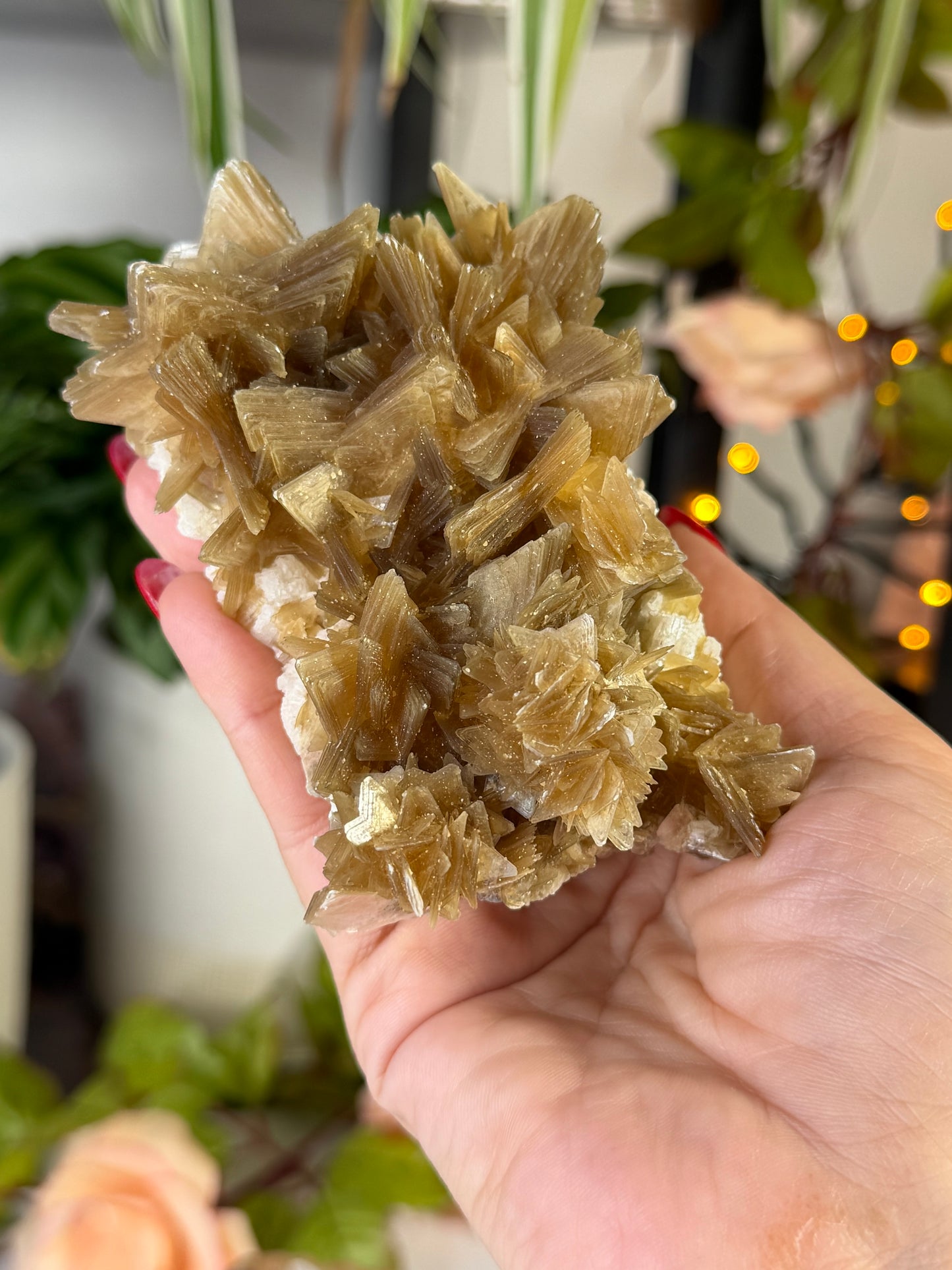 Gorgeous Star Mica from Brazil  | 318g