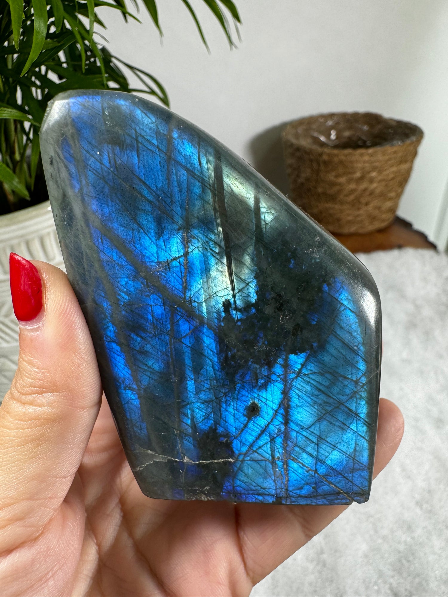 Labradorite