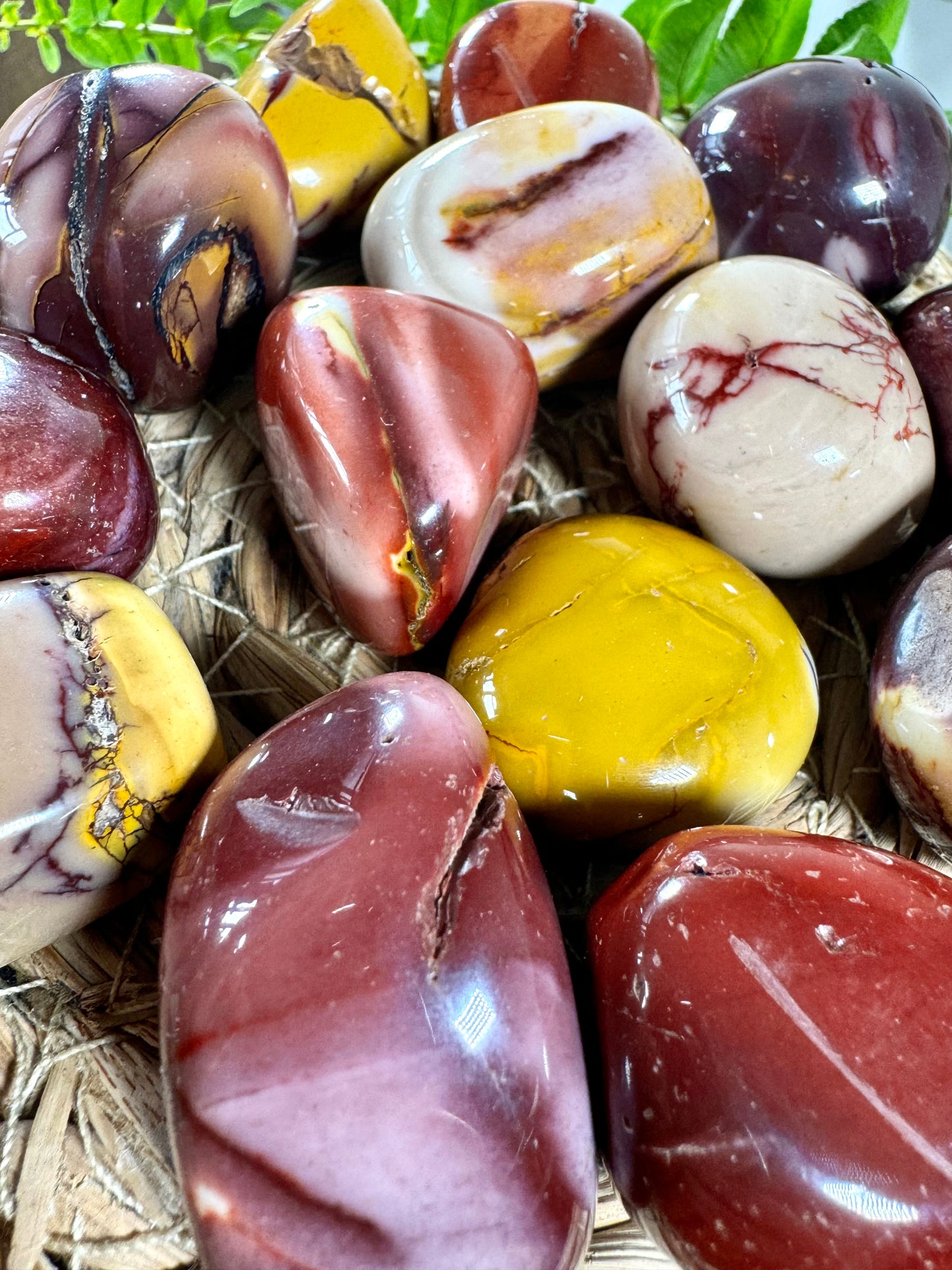 High Quality Mookaite Tumbles | Large - Intuitively Chosen