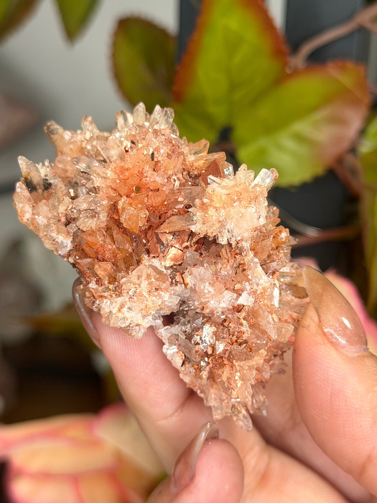 Creedite Cluster | 53g